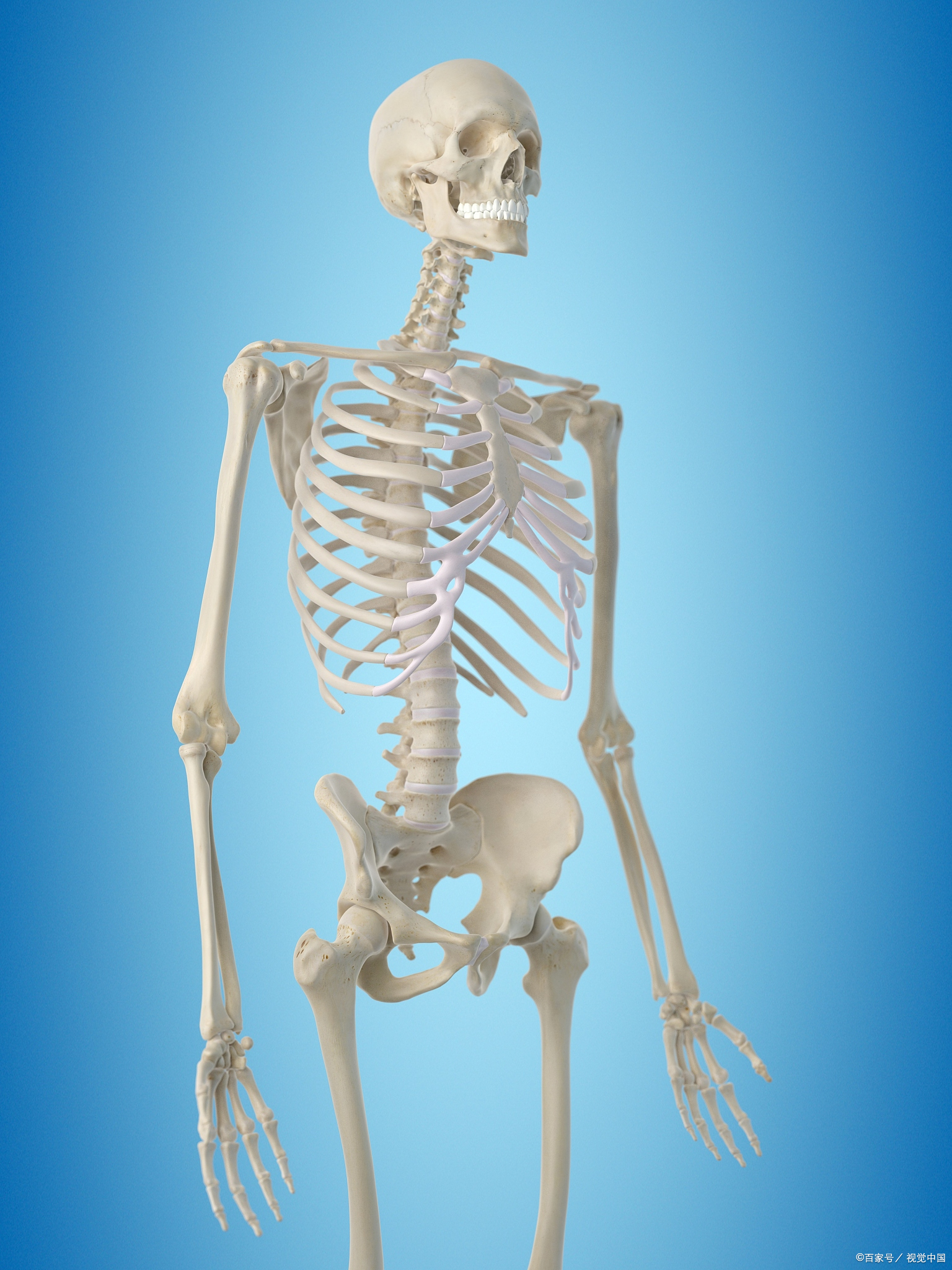 长期走路能把六类病走没?建议70岁后这样动,降低生病风险