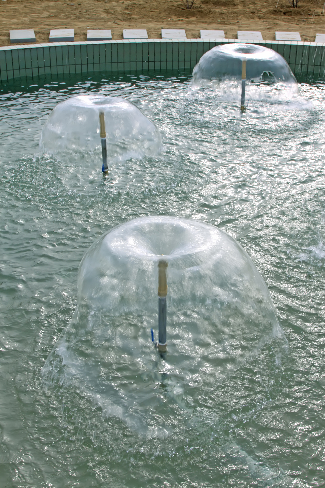 我们精心打造的高效增氧机,正是这片水域生命力的源泉