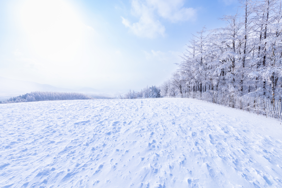 雪照片图片大全风景图片