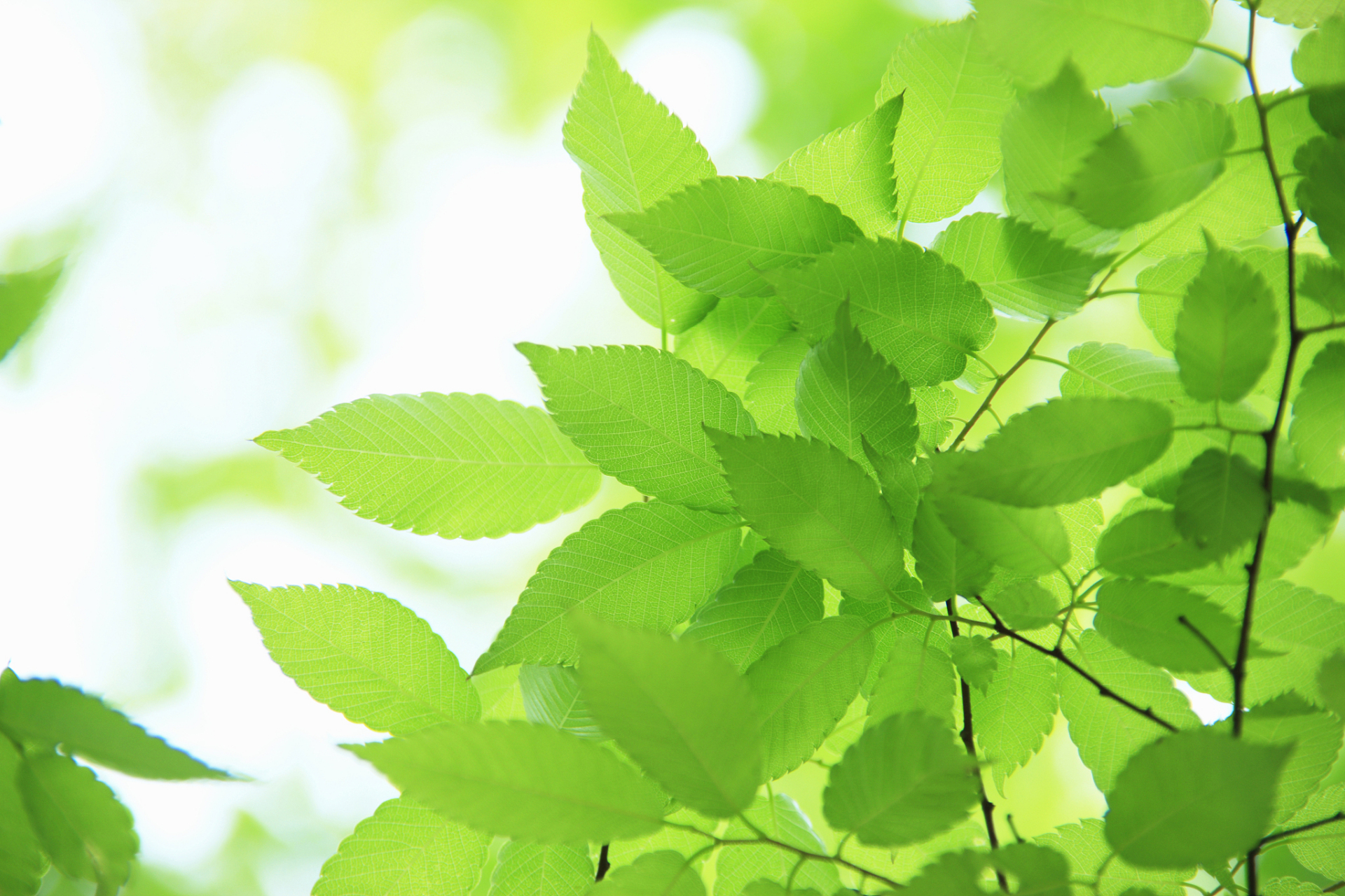 人生想要顺遂,首先要做到尽己所能,而后听天由命.