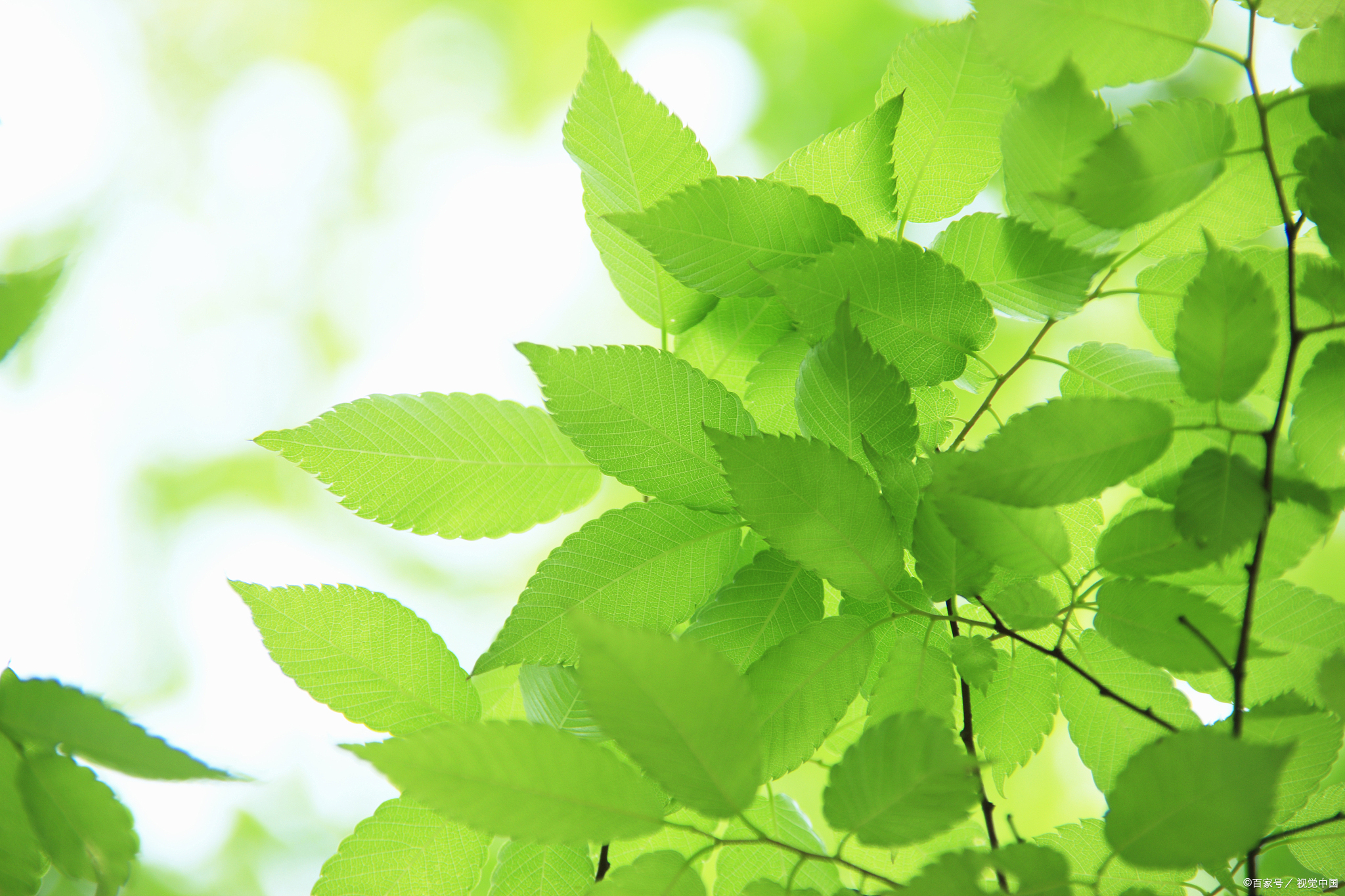 上天要奖惩人之前,会有征兆,看懂人生顺遂