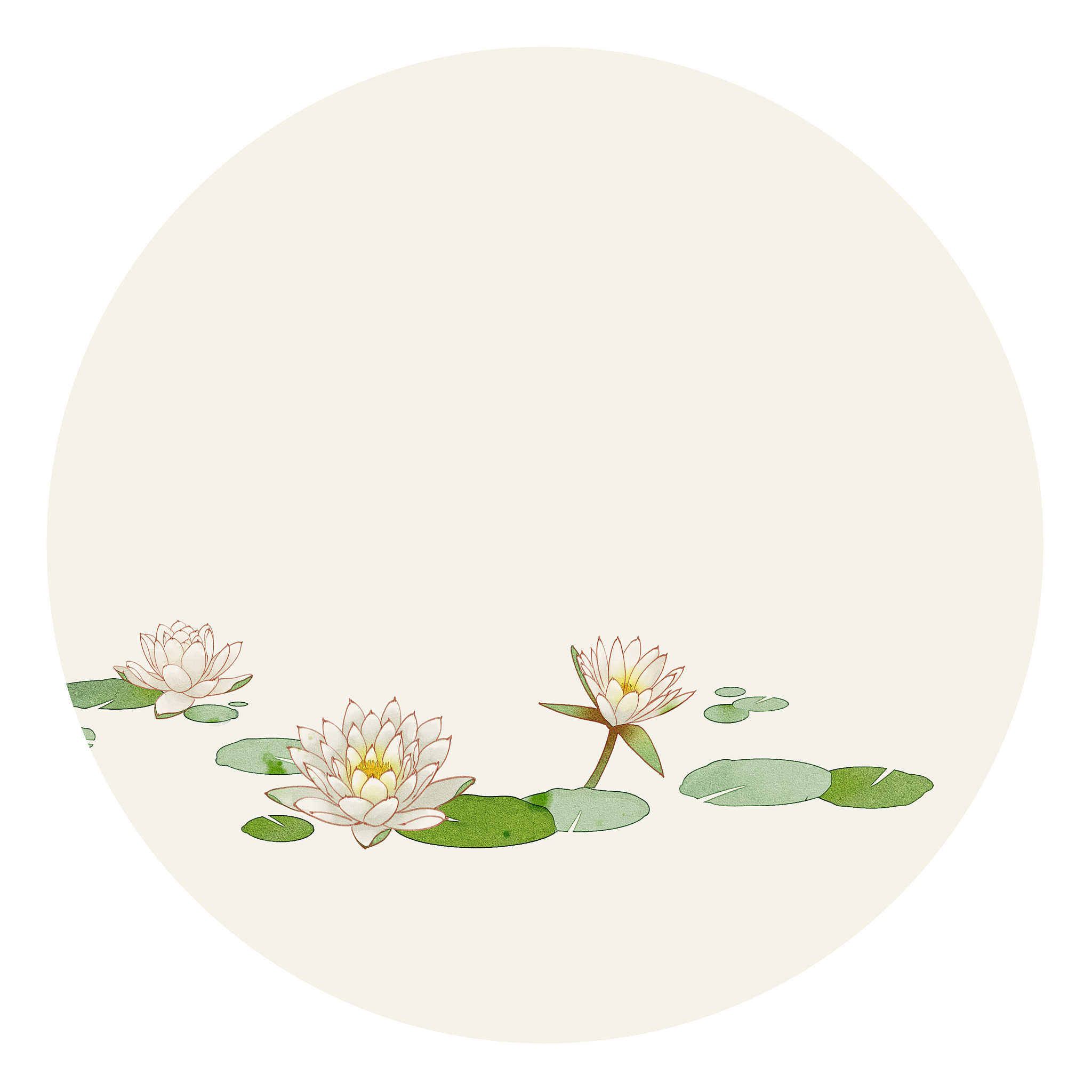 颜艺涵夏潇(小说完整版大结局)颜艺涵夏潇全文阅读笔趣阁36