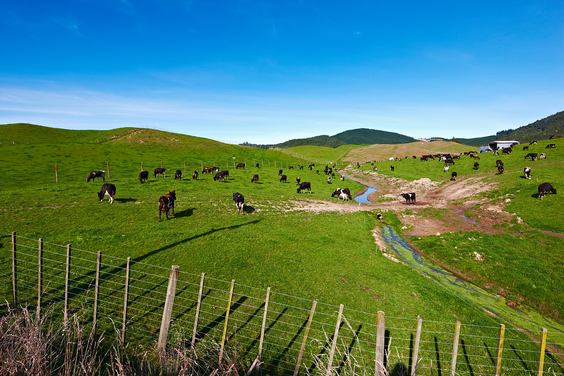 90 毛垭大草原,位于四川省雅安市石棉县,被誉为四川最美的草原之一.