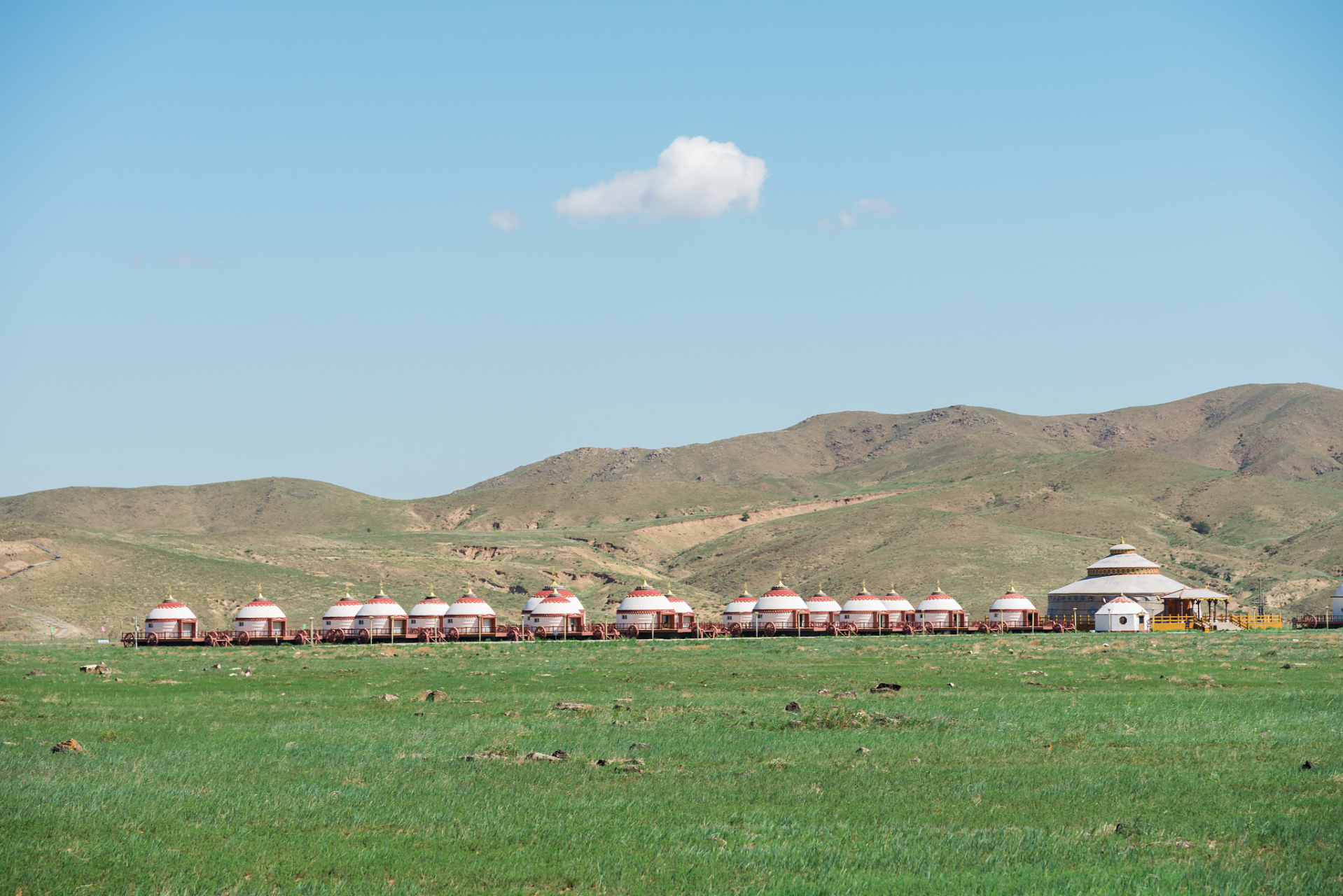 酒店,大街还是机场,甚至在摇滚乐队和酿酒厂  中,都能看到成吉思汗的