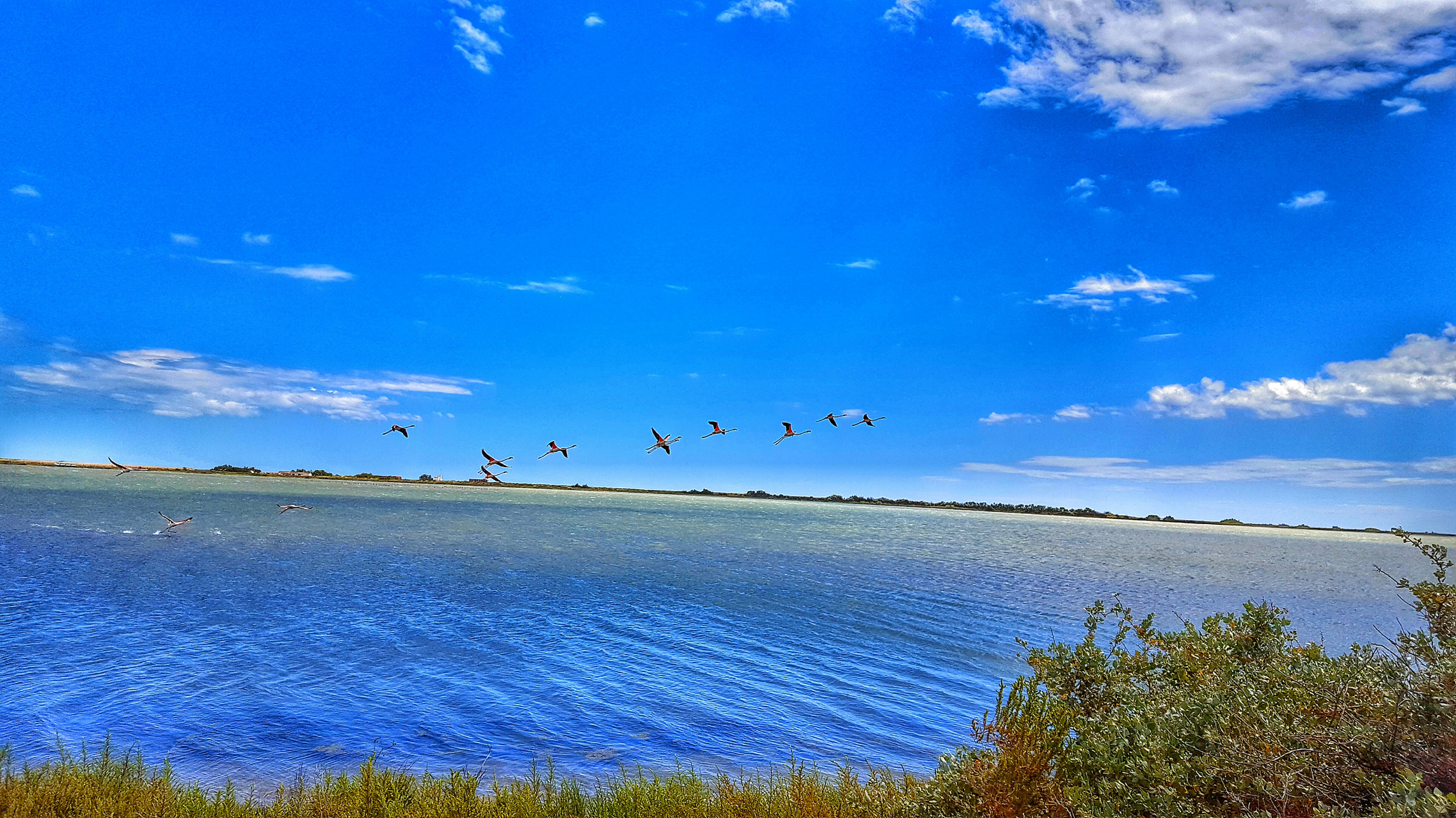 0#呼伦湖,绿意盎然的天然宝藏.