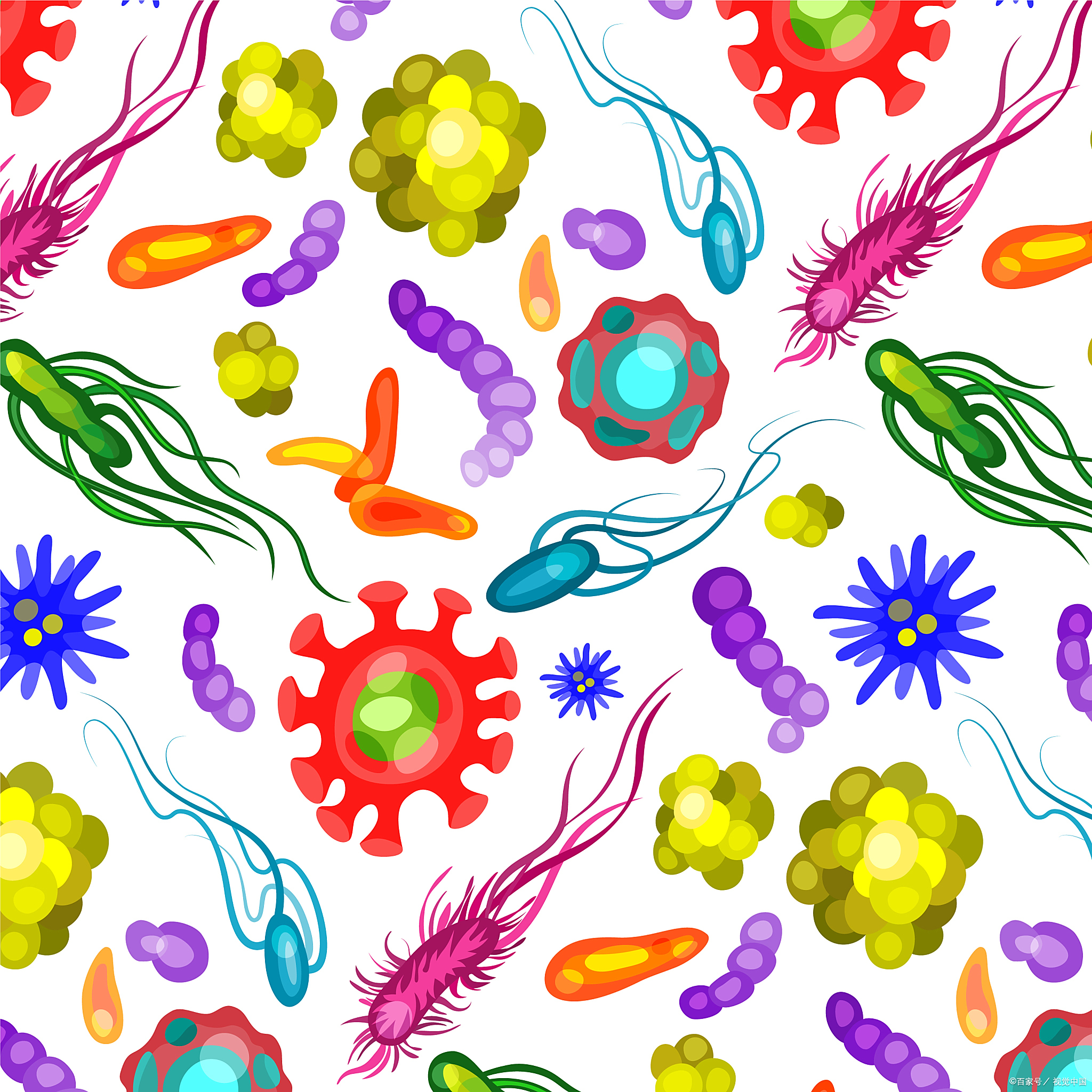 微生物检验员培训考证细菌的分类,结构及发展简史