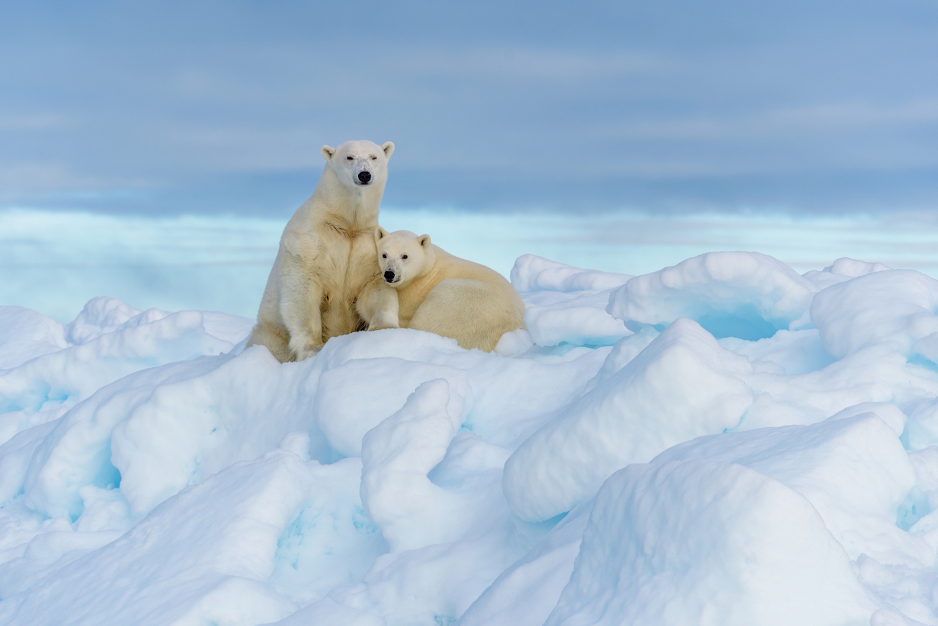 北极变暖和极地涡旋变化影响中国,导致更寒冷天气.