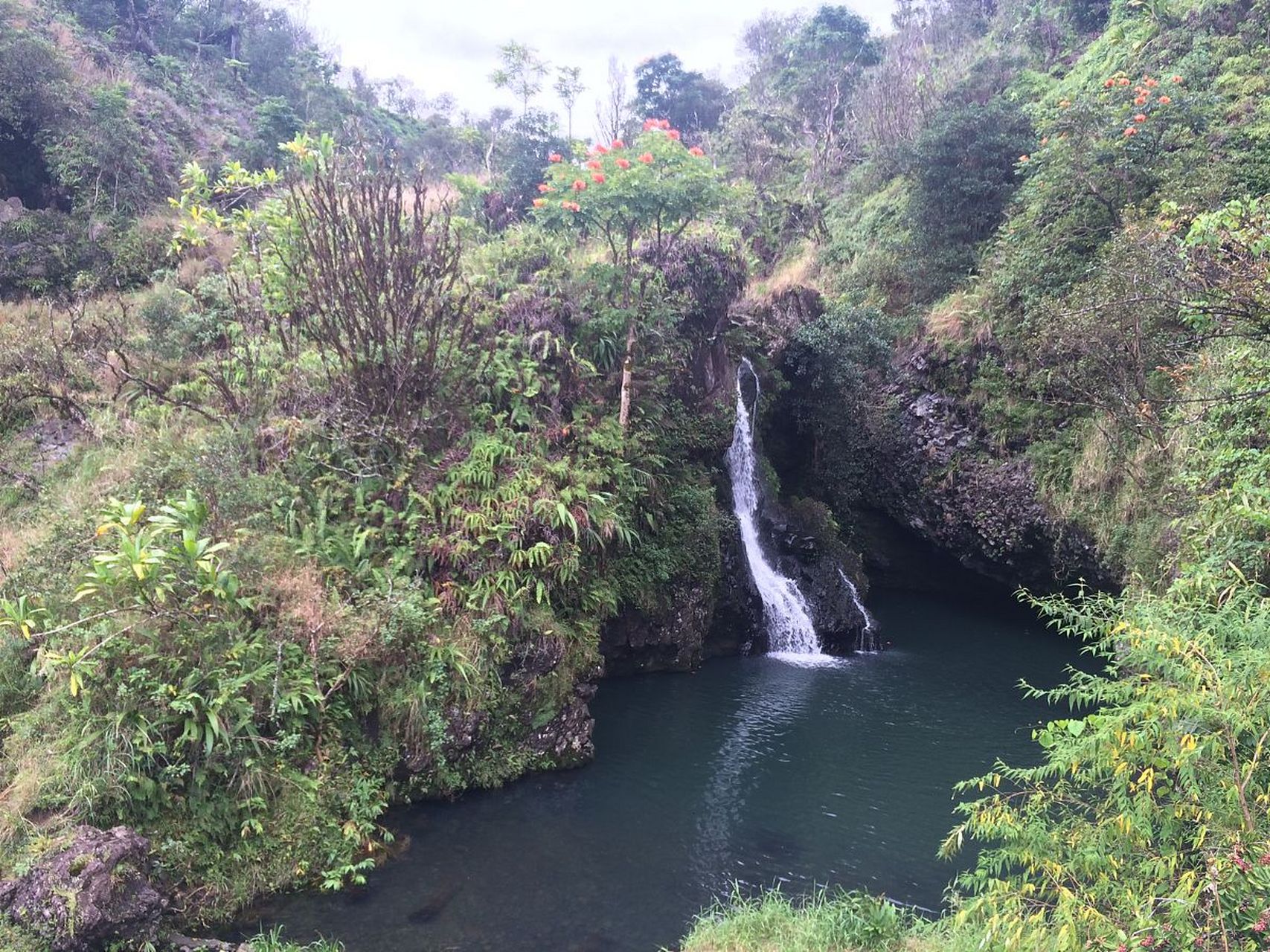 牛姆林生态旅游区旅游攻略  牛姆林生态旅游区,位于福建省永春县,是一