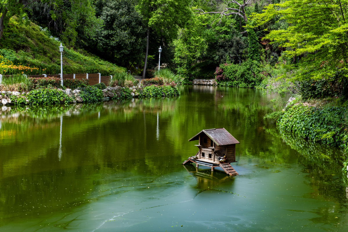 南京琵琶湖风景区门票图片