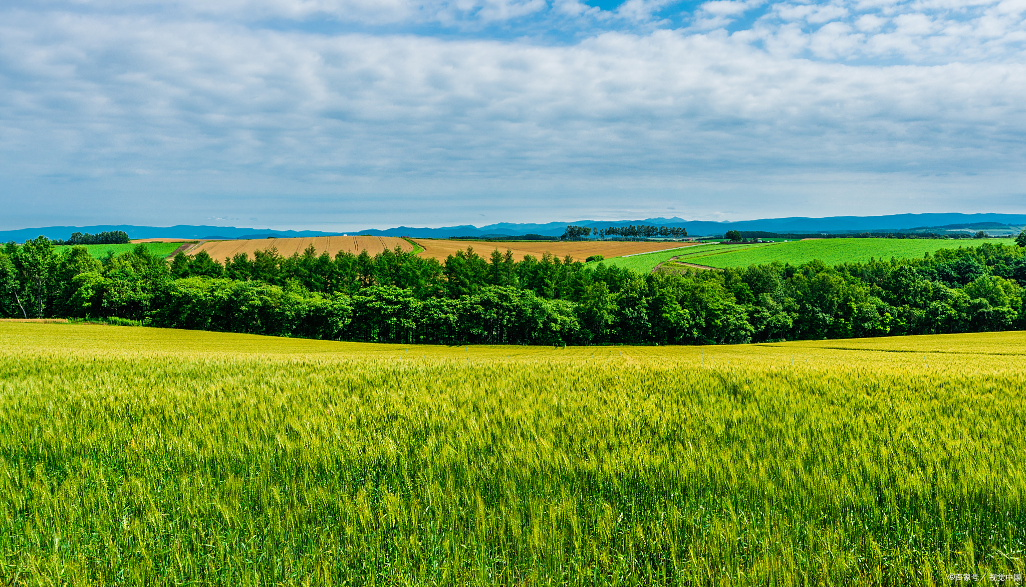 生活不止诗和远方,还有田野和家乡治愈系风景