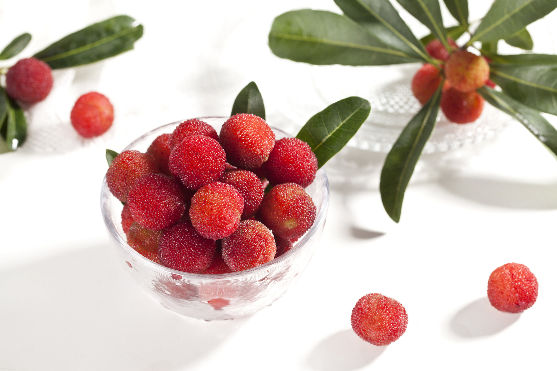 东魁杨梅是产于浙江省台州黄岩东岙村的一种杨梅品种,因果特大而著称.