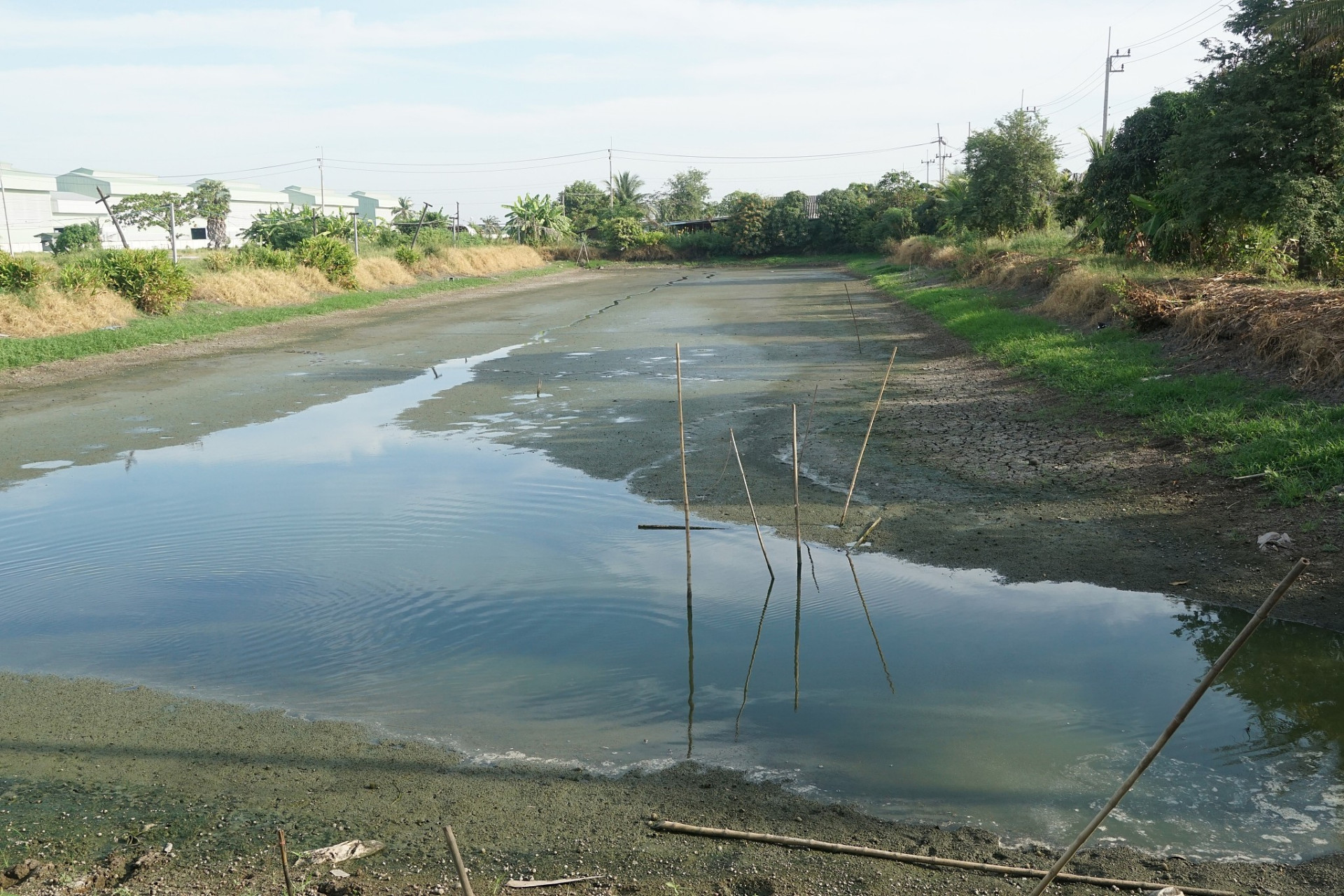 近日,福建漳州诏安县梅岭镇,一位虾农张先生的虾塘被镇政府强行清空