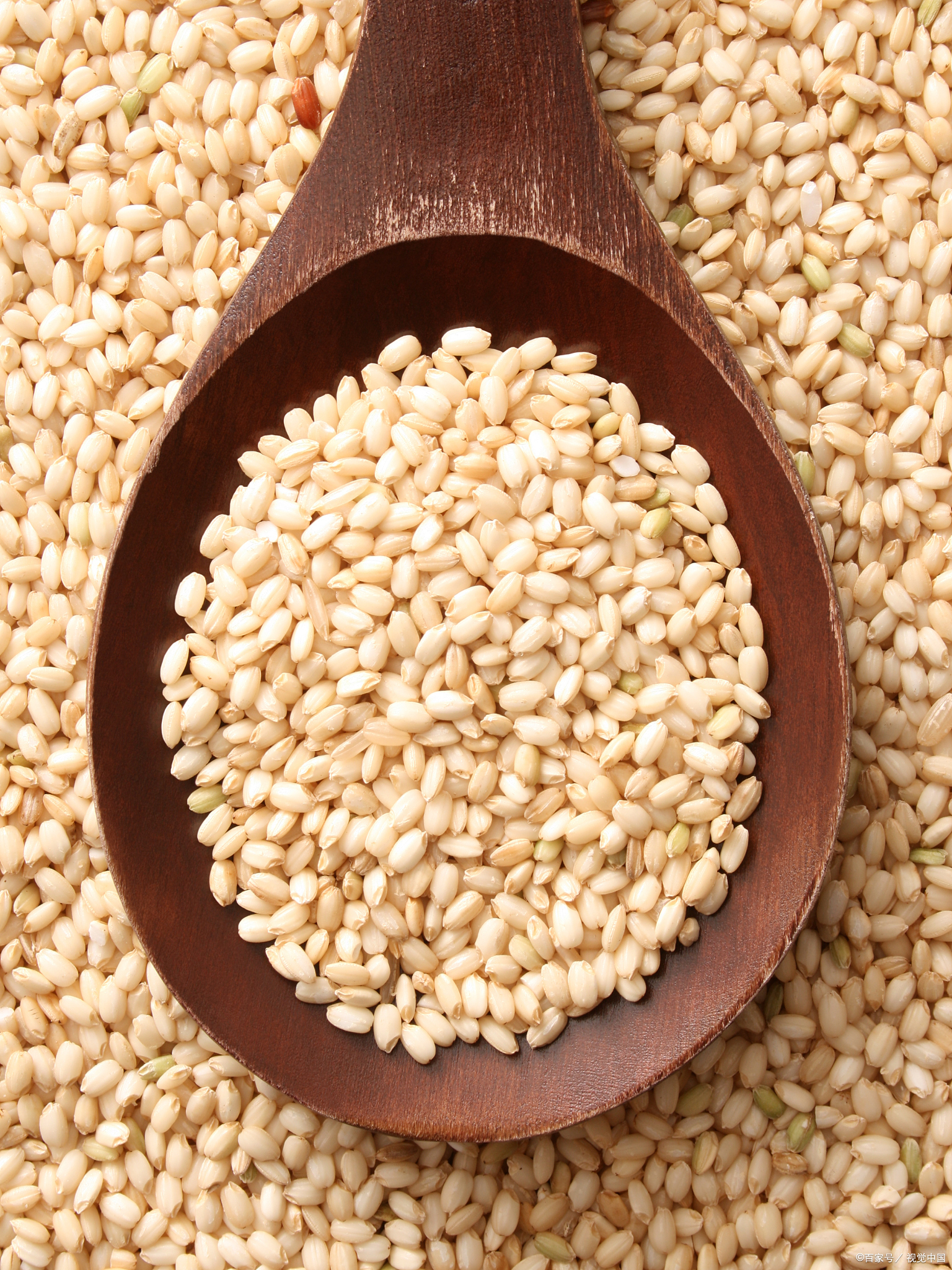 糜子米是什么米?