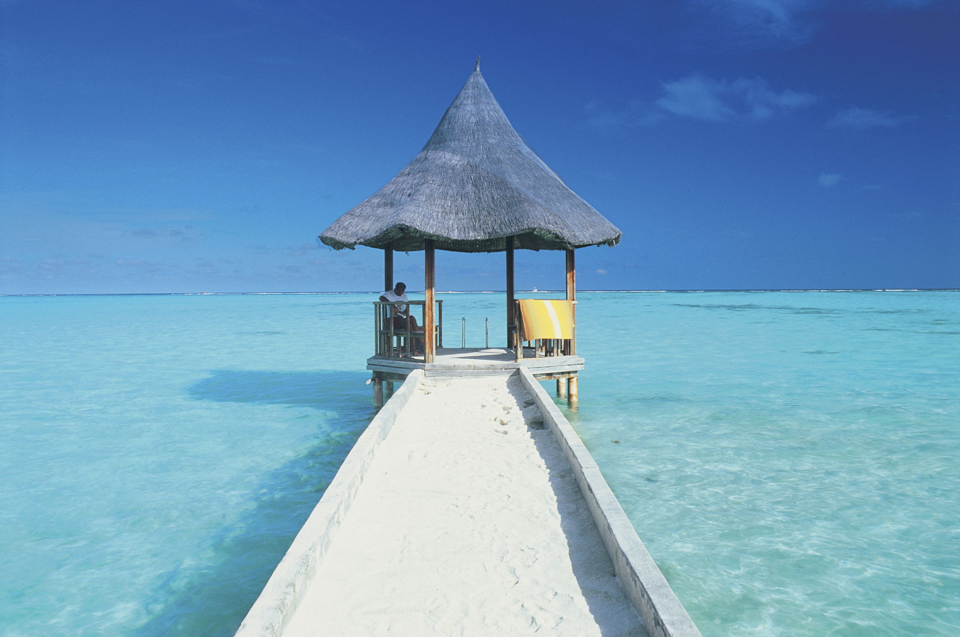 冬日冰雪漫游季# 海龟岛是马尔代夫岛屿,大约离马列国际机场146公里