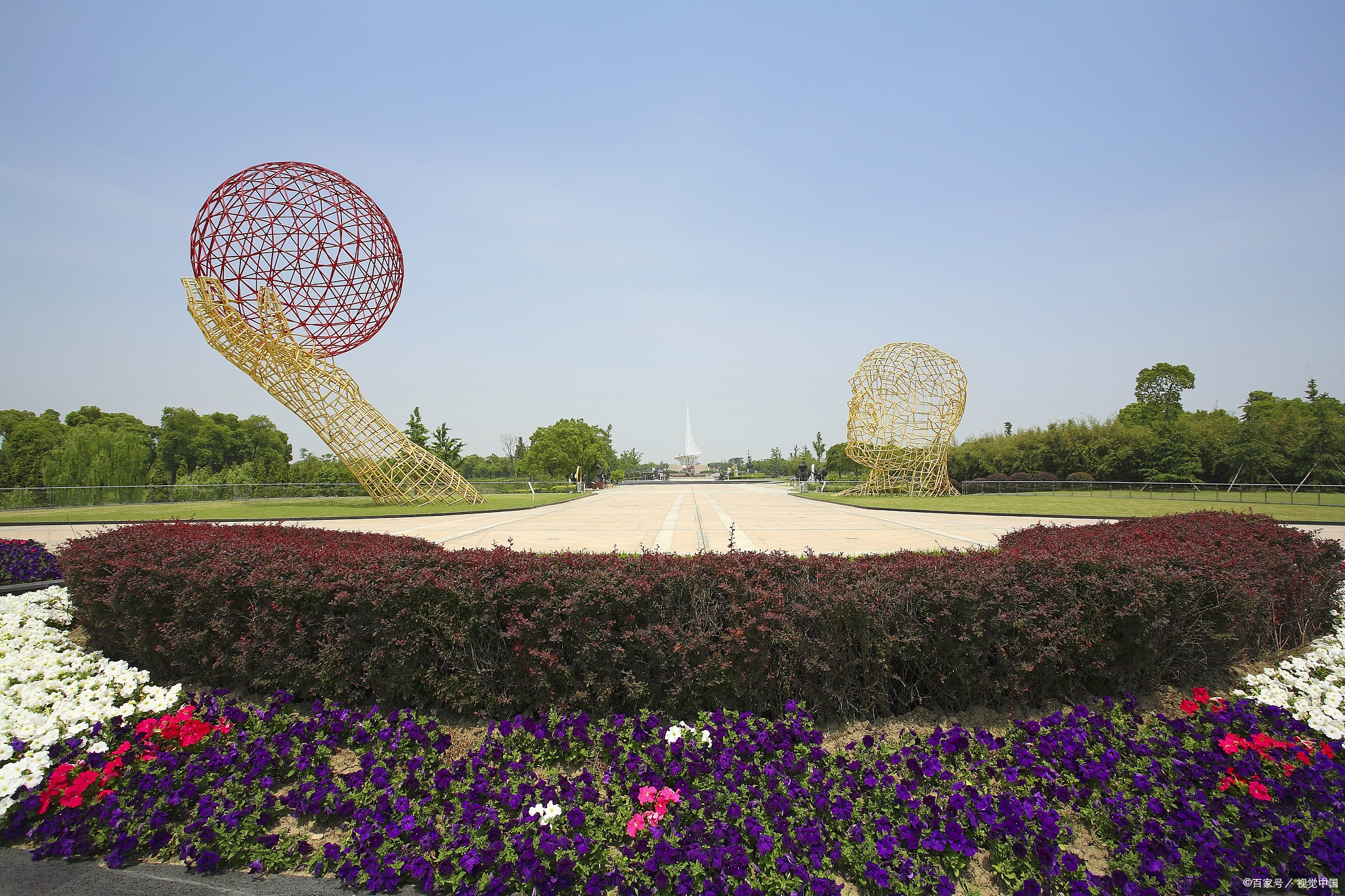 紫荆花海金昌市图片