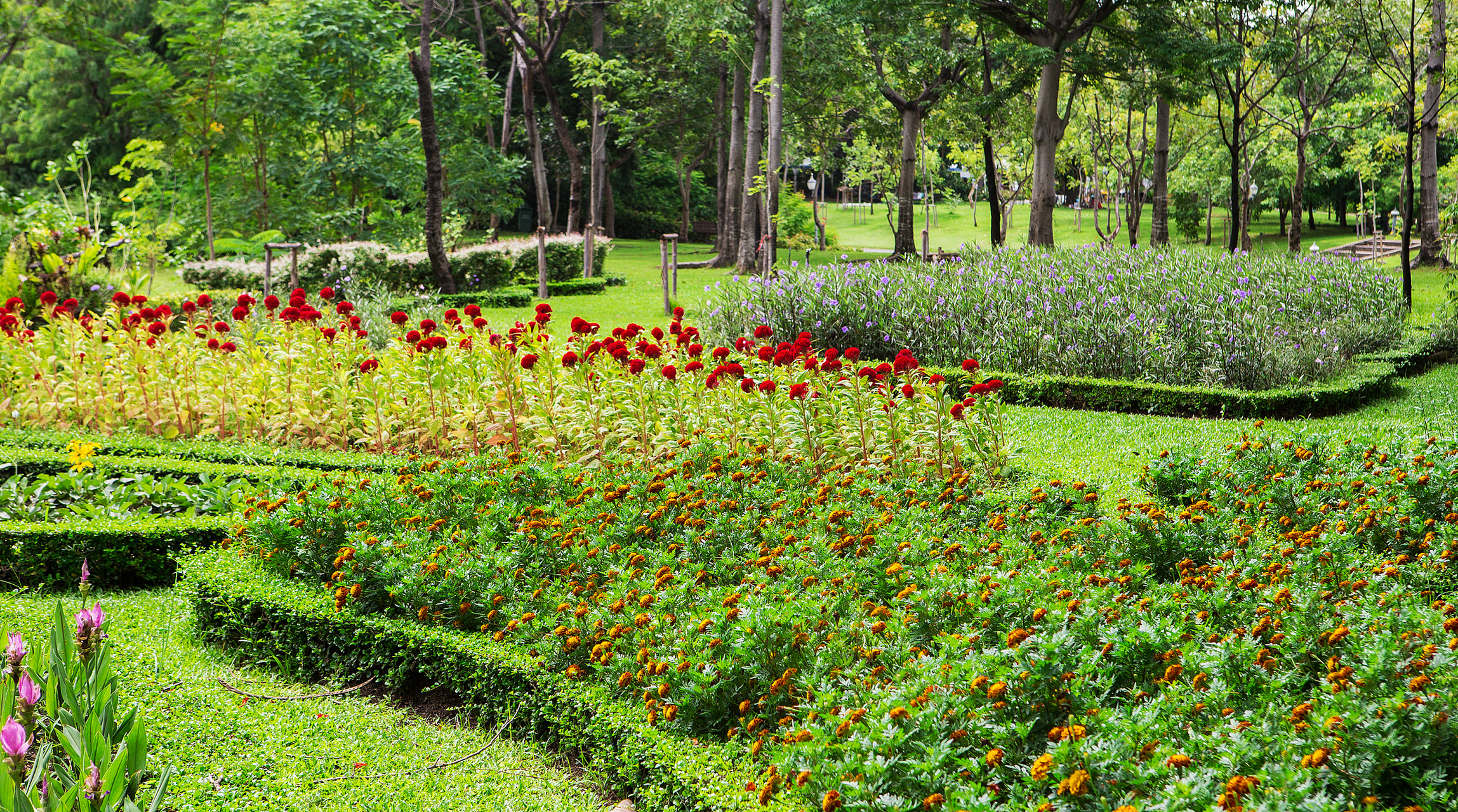 镜头里的春天#春日的长春植物园,宛如大地的调色板,色彩斑斓,生机