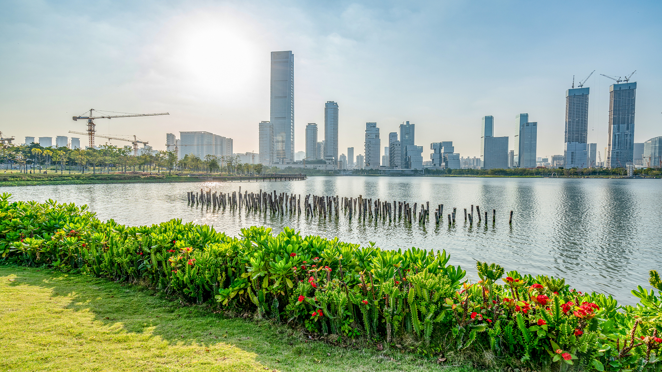 玩遍深圳# 深圳人才公园地处南山区后海片区,毗邻粤港澳大湾区和深圳