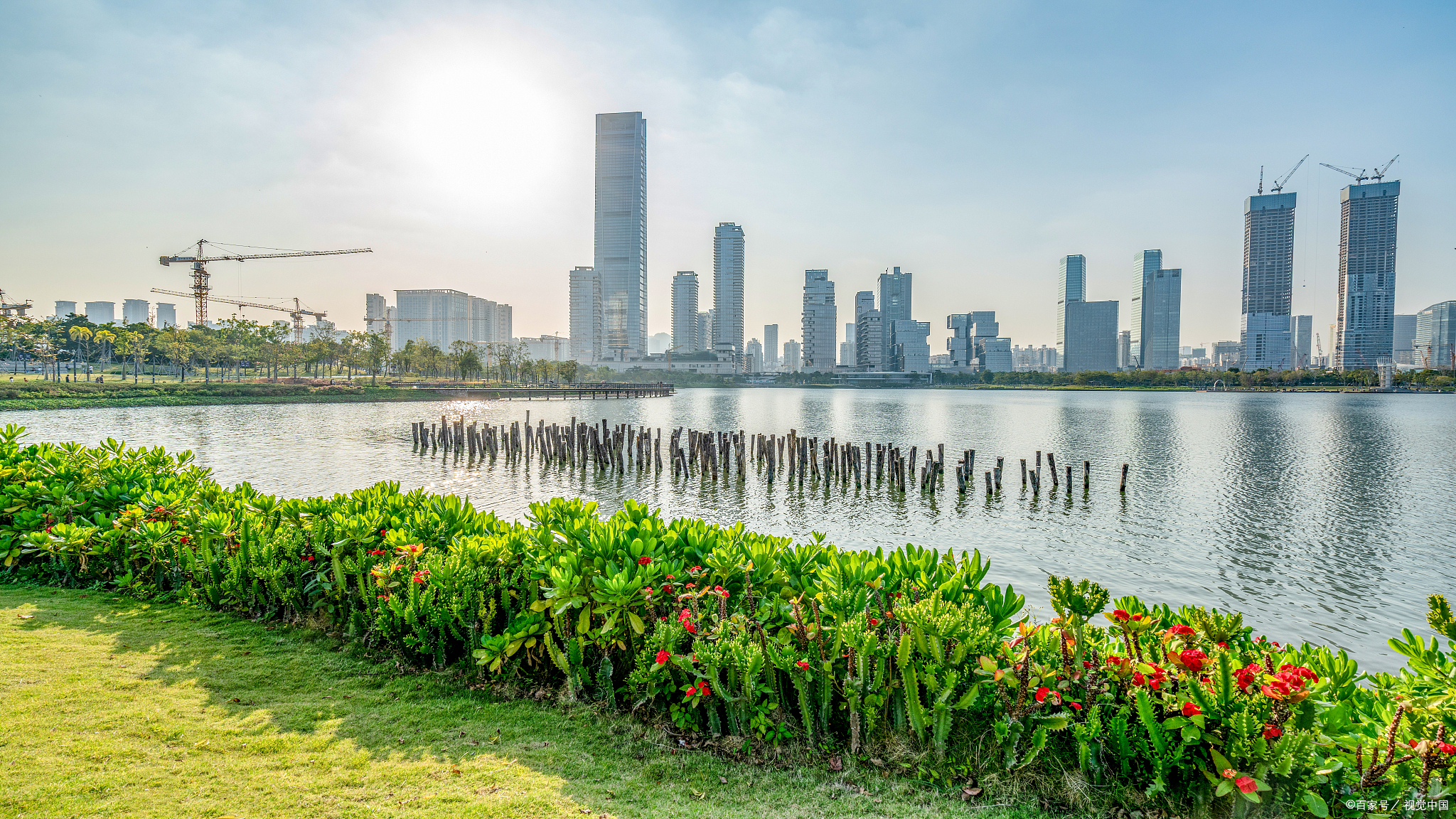 深圳人才公园的景点介绍