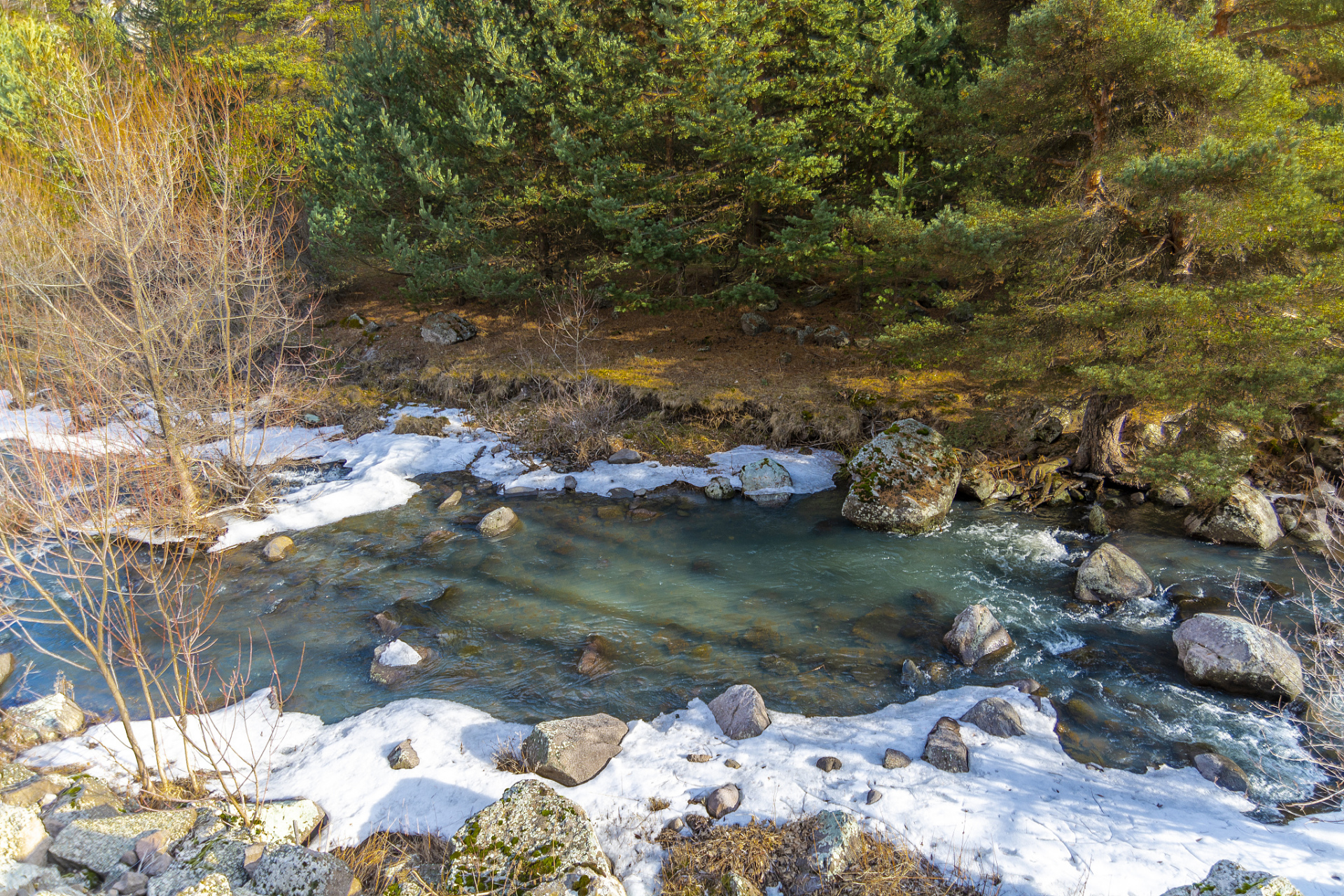 夏天的冰湖沟,山林葱郁,溪水潺潺.