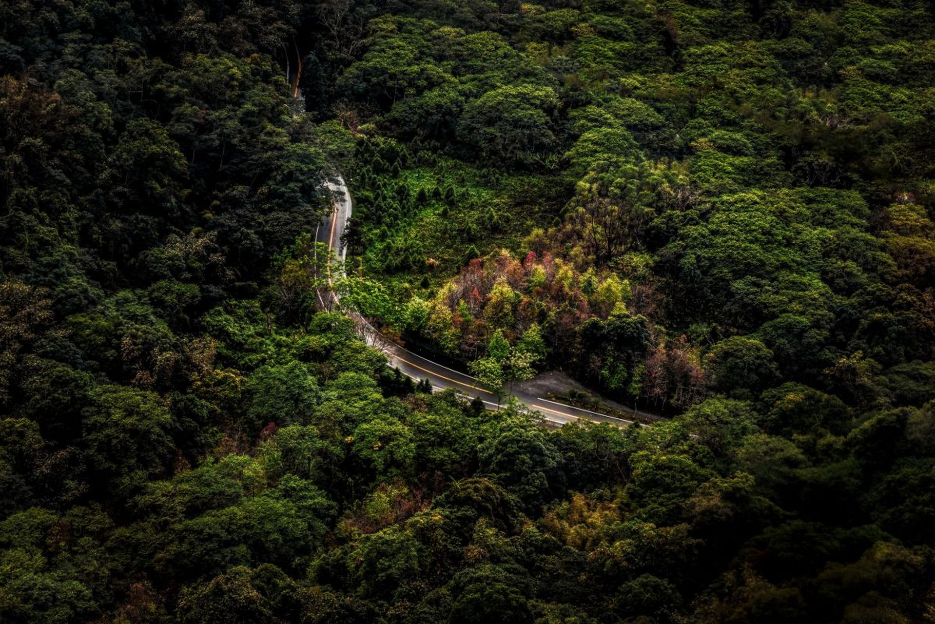 蟠龙山森林公园好玩吗图片