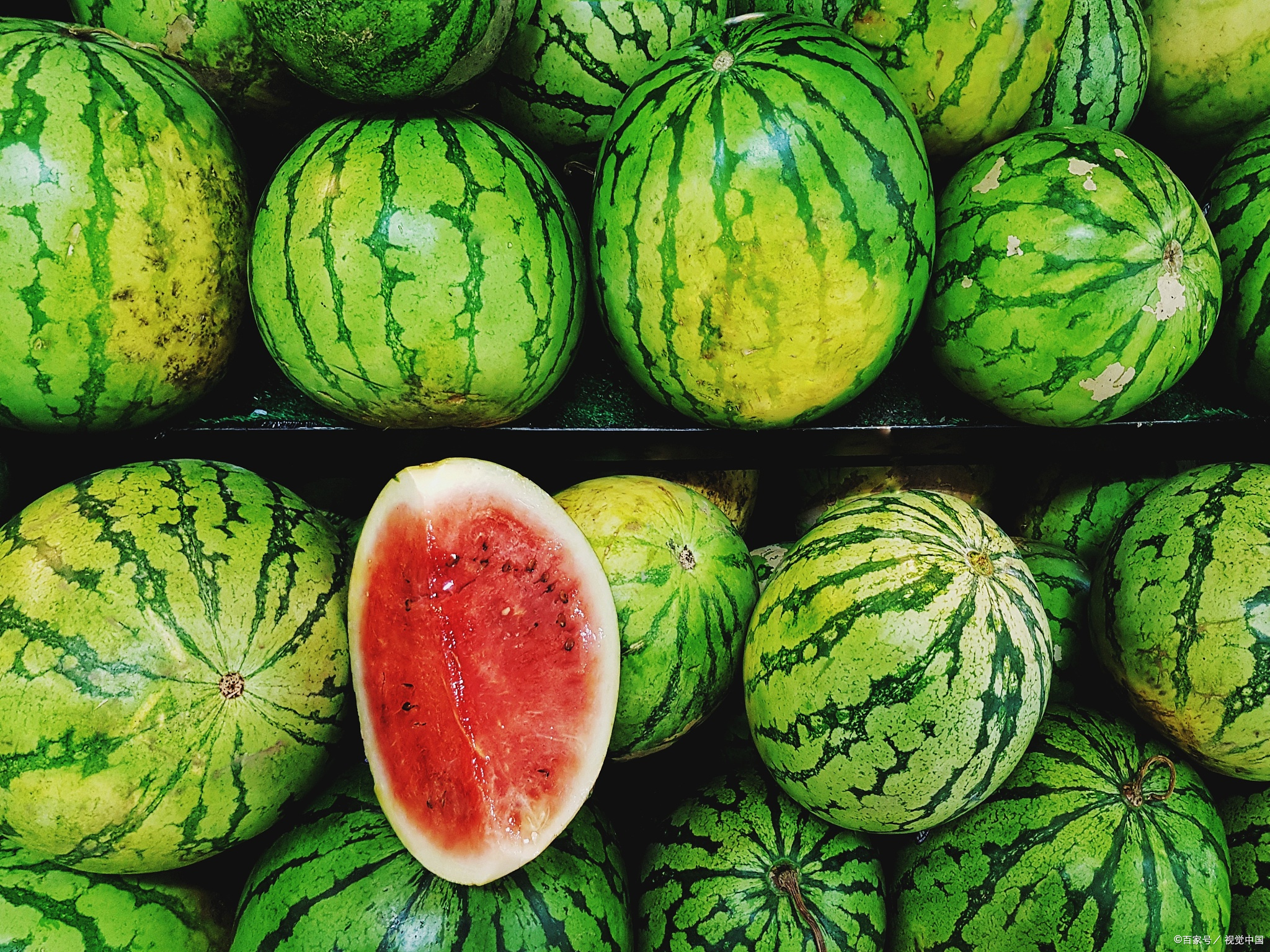 双堠西瓜,甜到心坎里#好客山东景好品山东情#   嗨,大家好!
