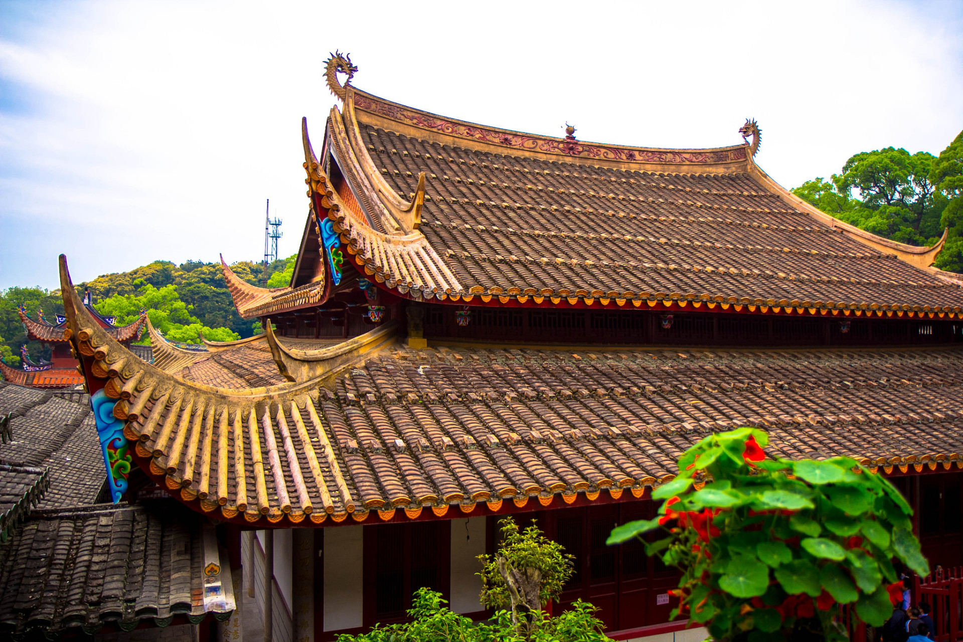 位于四川峨眉山山麓的伏虎寺,拥有悠久的历史,又被称为伏虎禅院,神龙