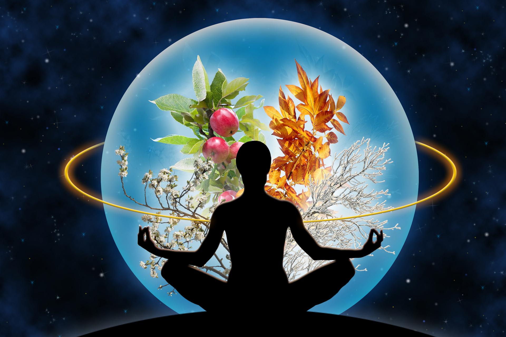 在这里问题来了,能量为什么能够决定我们的命运呢?