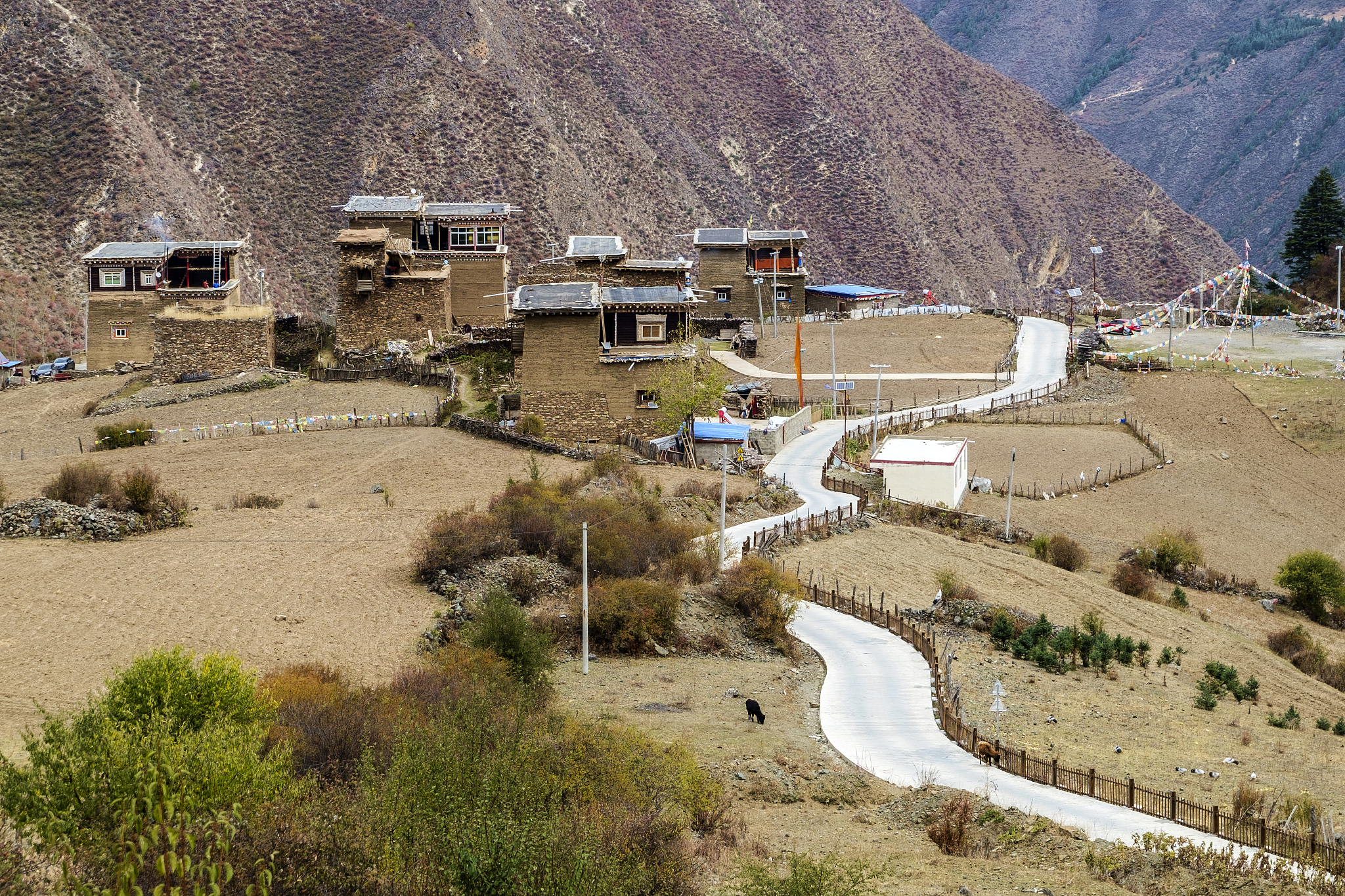 巴塘县位于四川省甘孜藏族自治州,拥有丰富的自然和人文景观.