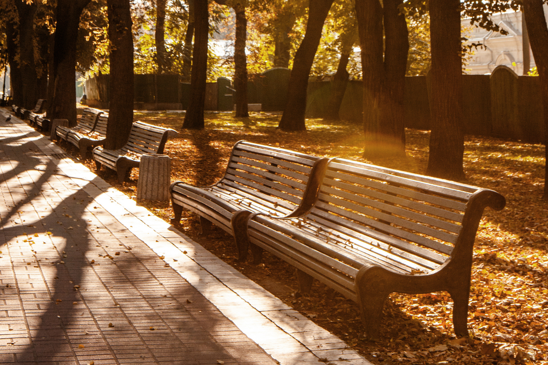 夕阳西下,余辉撒满大地 长椅上,一人静坐 暮色轻染,寂静如此美好 一切