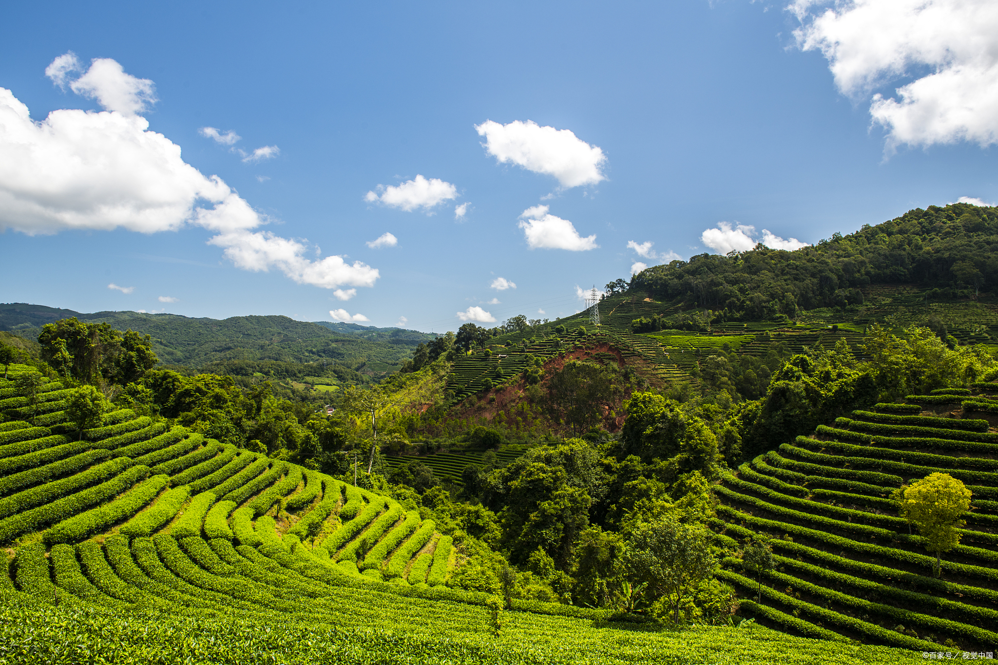 在云南普洱,你可以身临其境地感受到这份纯净与深邃
