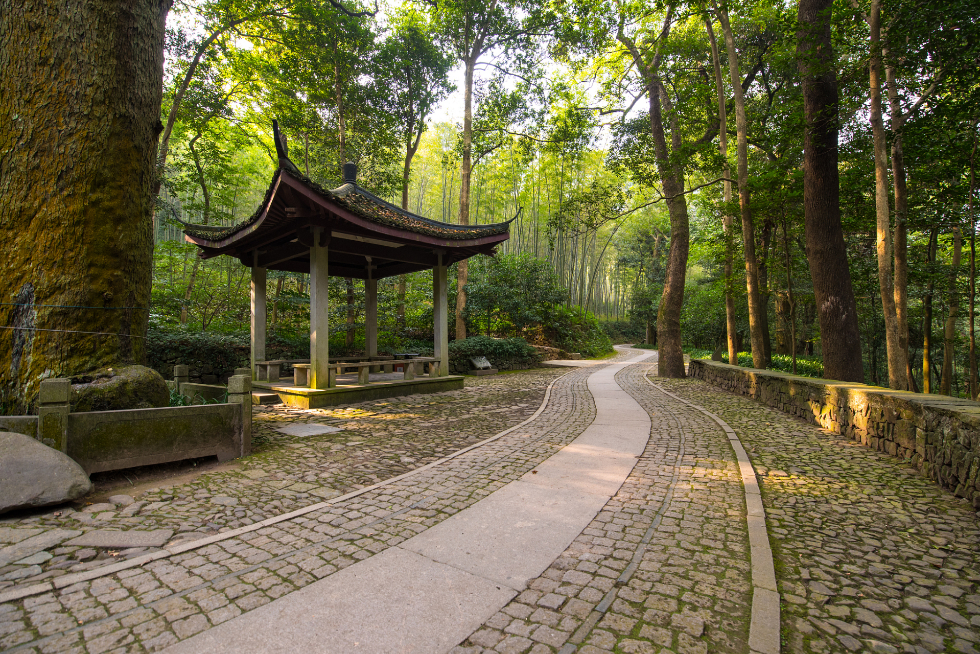 常熟虞山公园国家级森林公园,坐落于城北虞山山麓,城市繁华与自然宁静