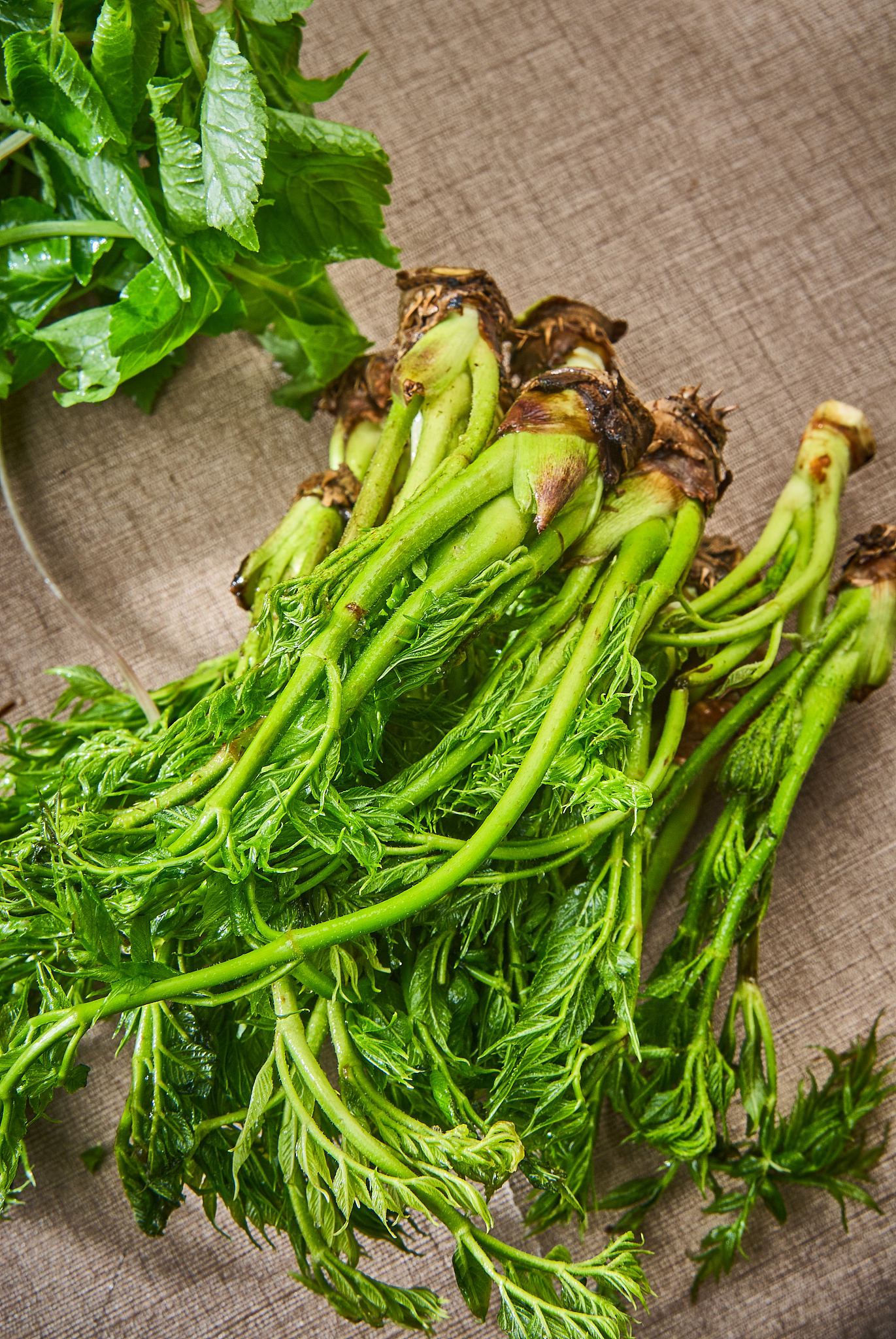 野菜大全图片