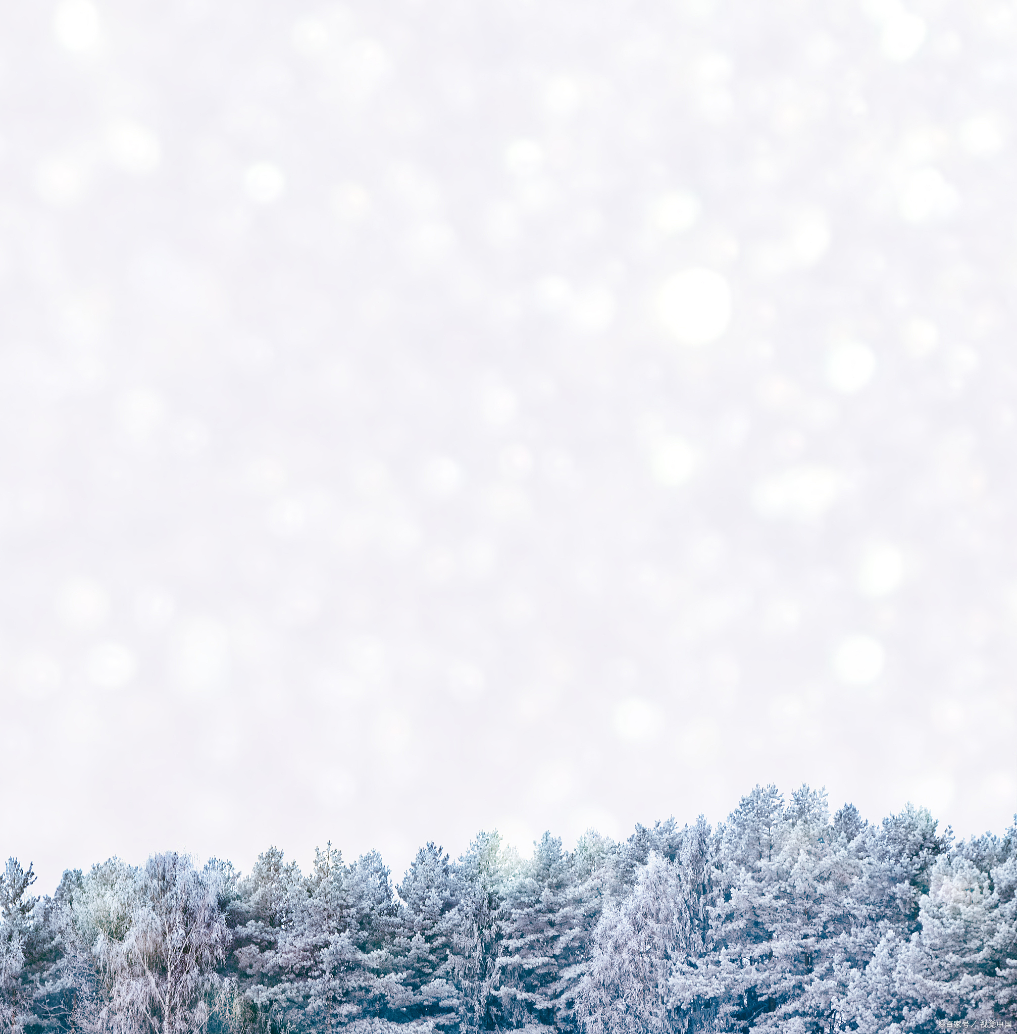 雪花飘飘:冬天的诗意与浪漫