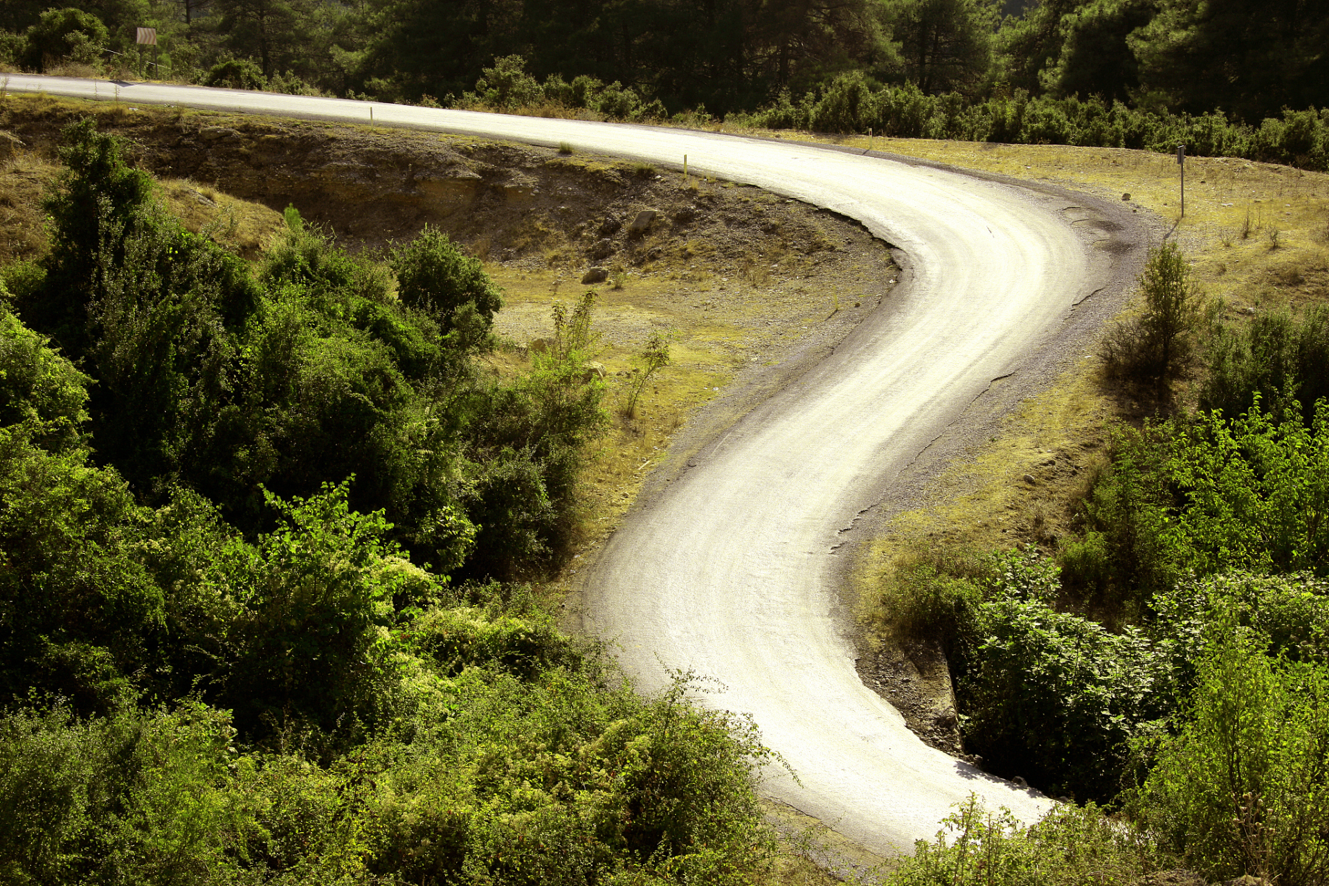 人生的道路总是充满了曲折和坎坷.