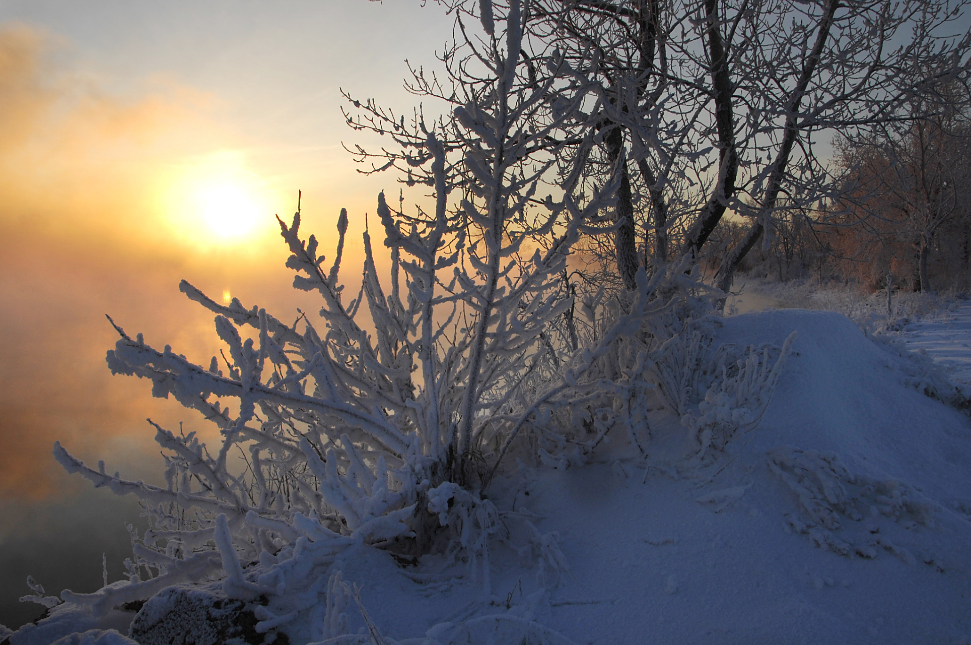 早起:冬季日出时间较晚,为了拍摄到美丽的晨光,需要早起前往拍摄地点