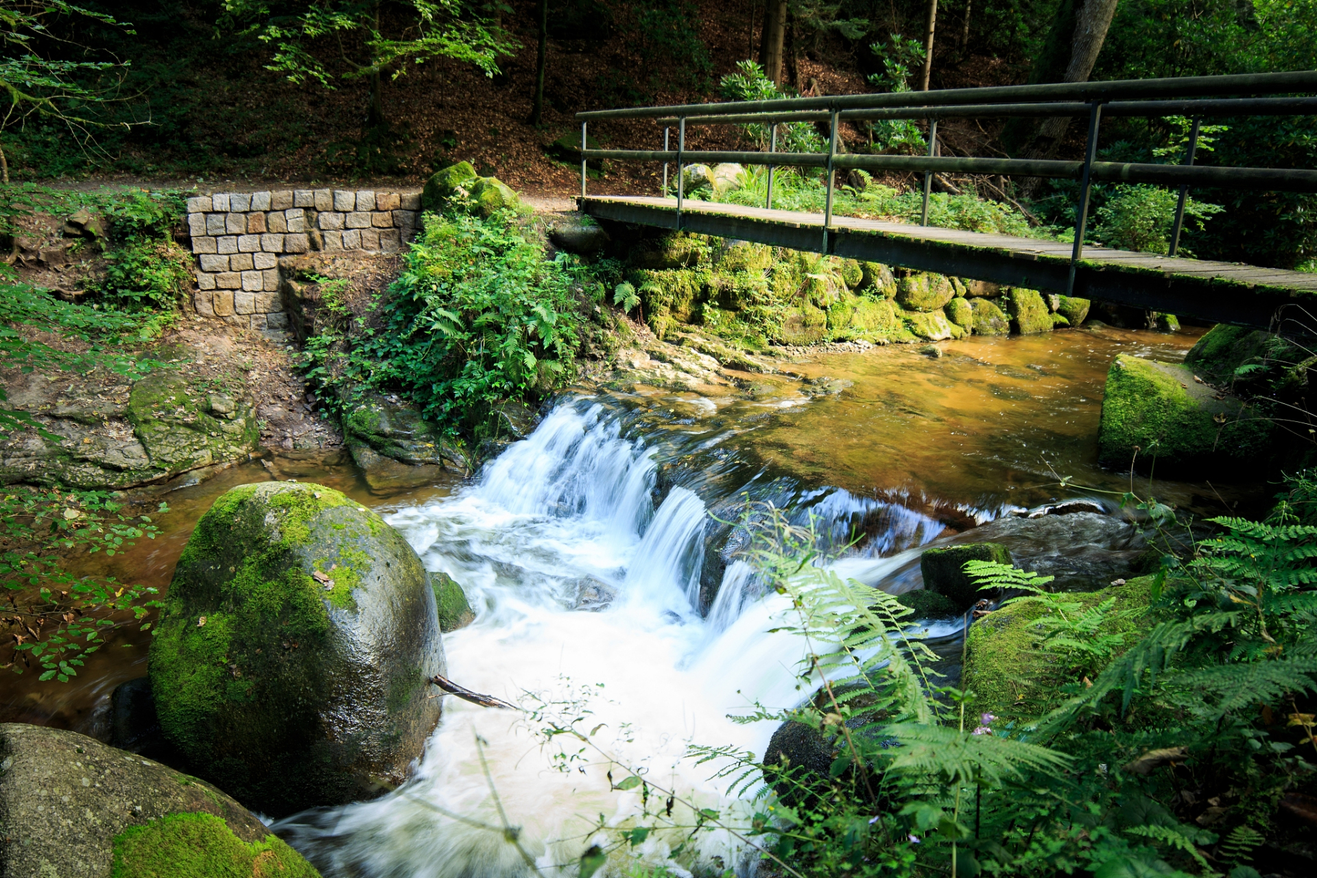 隐藏着一片被誉为"浙江杭州绿意"的宝地——山沟沟风景区
