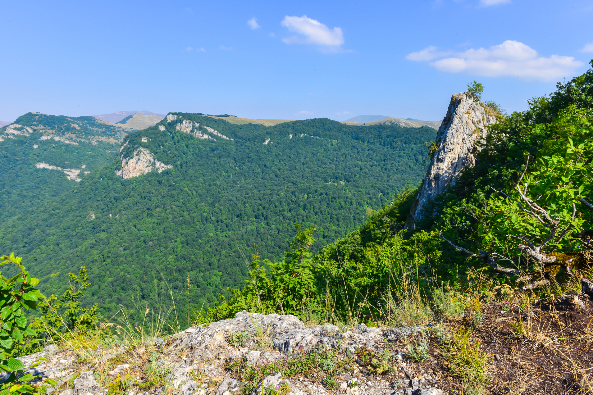 湖北省绿林山风景区绝对是不可错过的目的地!