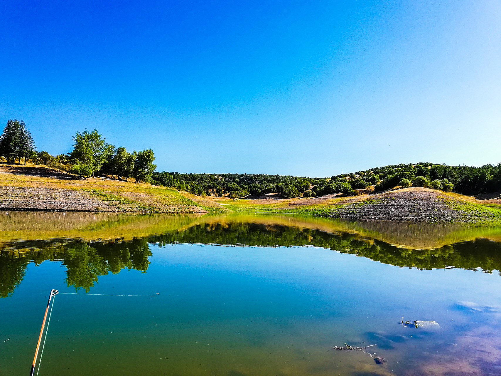 你是否曾经想过,在中国的北方,有一片土地,既是森林,又是草原,还是