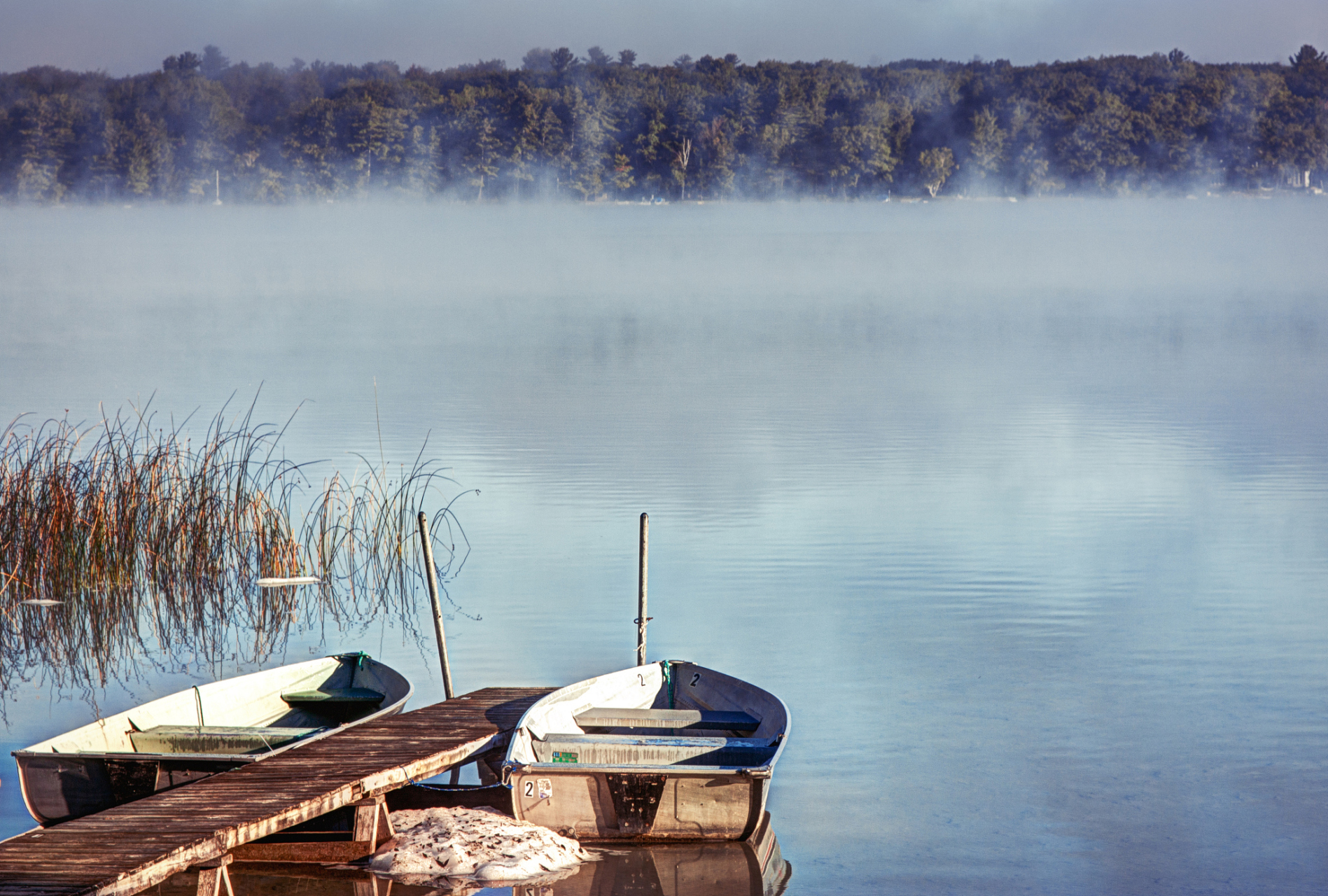 瓦尔登湖是梭罗的经典随笔,记录了他独居瓦尔登湖的生活和哲学思考