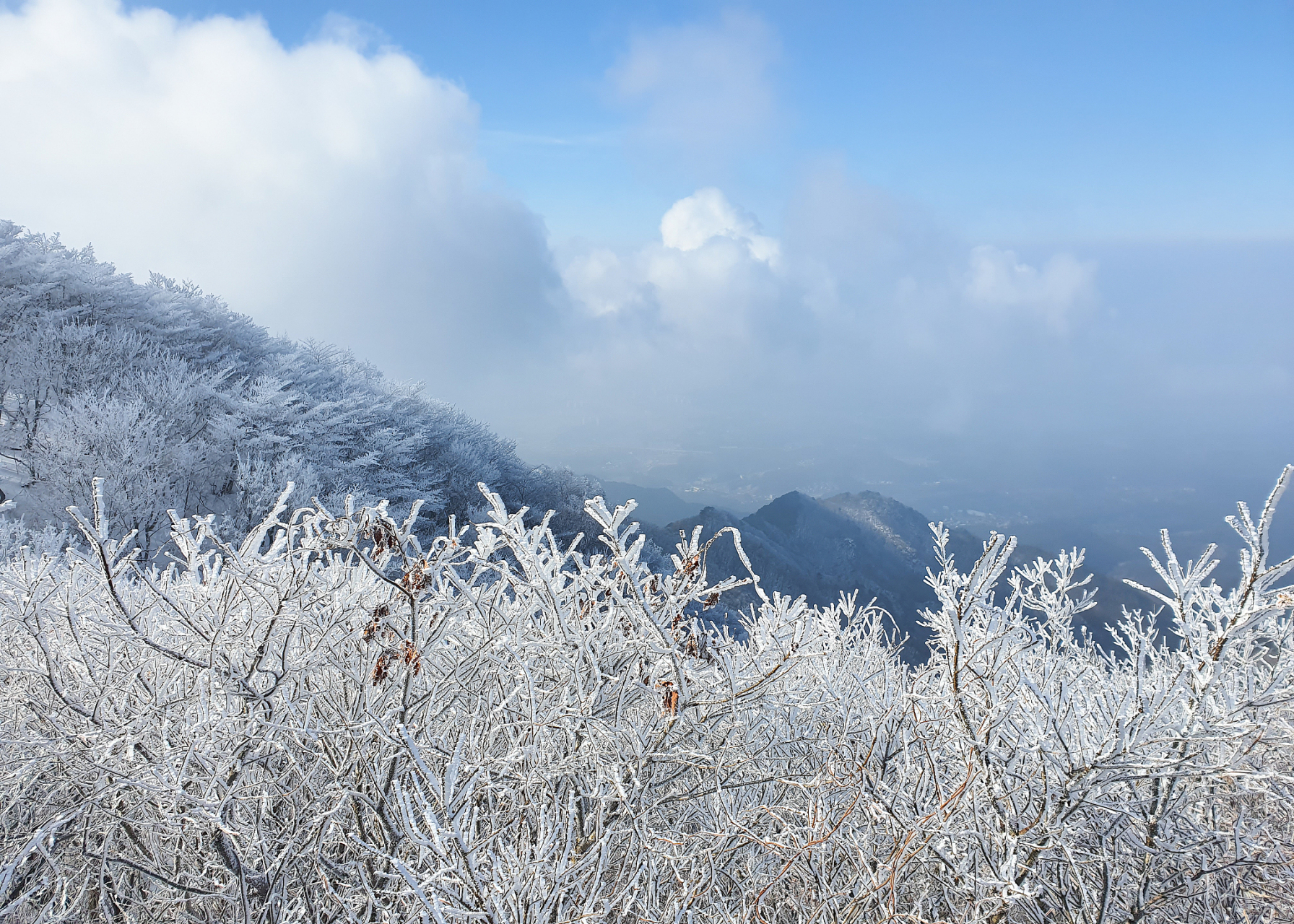 [原文:广西南宁大明山雾凇逐渐形.