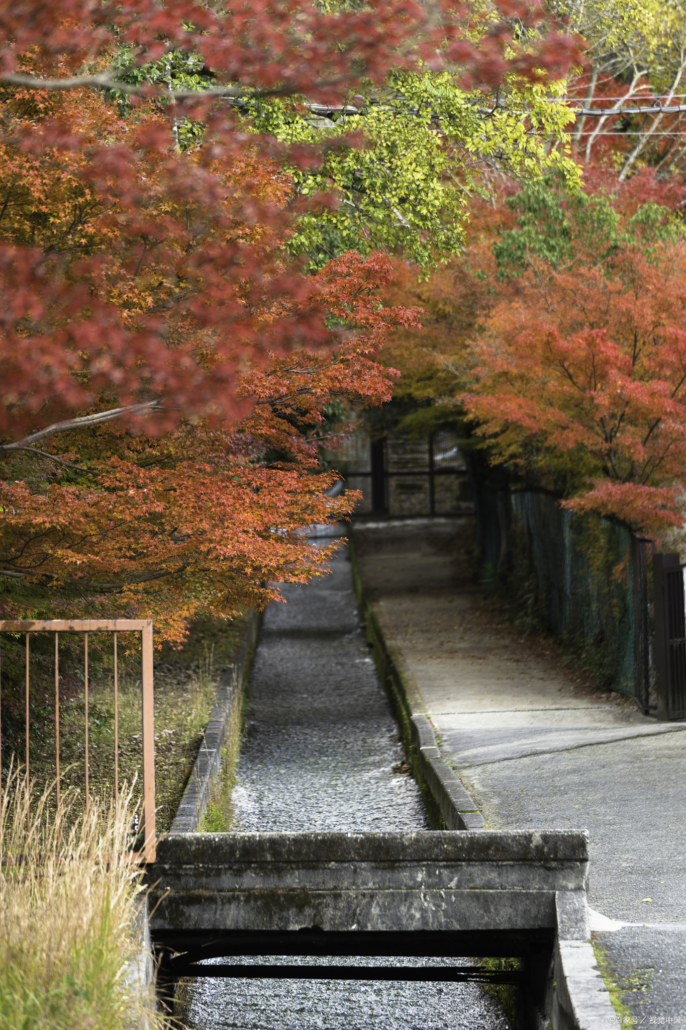 日本奈良旅游景点介绍