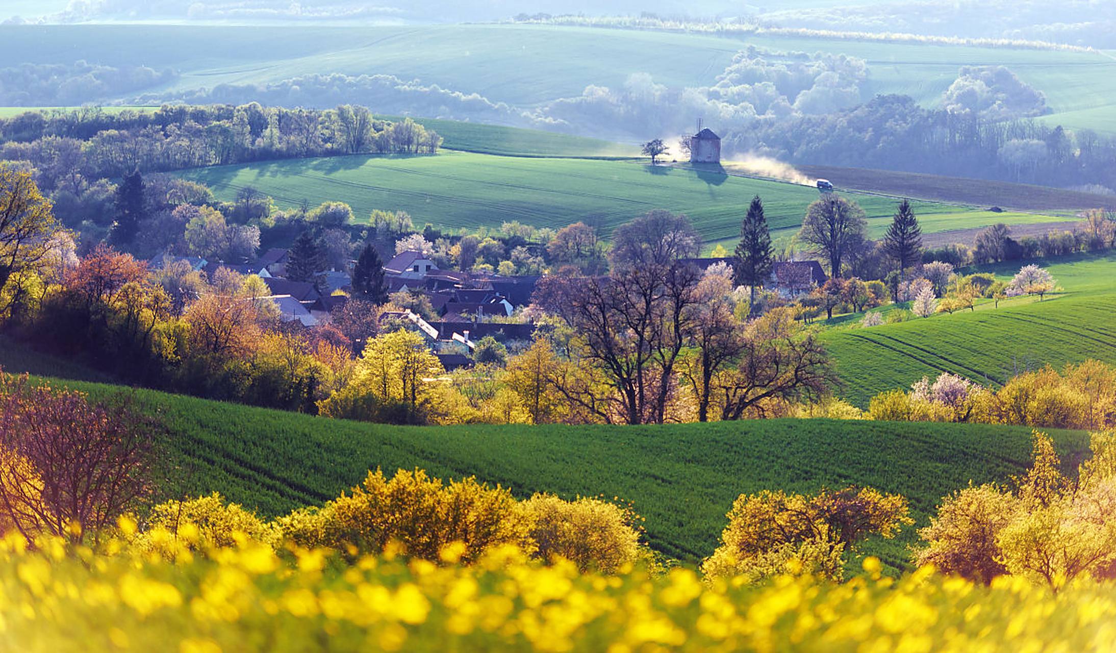《家乡风景》我出生在美丽的家乡, 那里有着青山和绿水, 大地上花朵