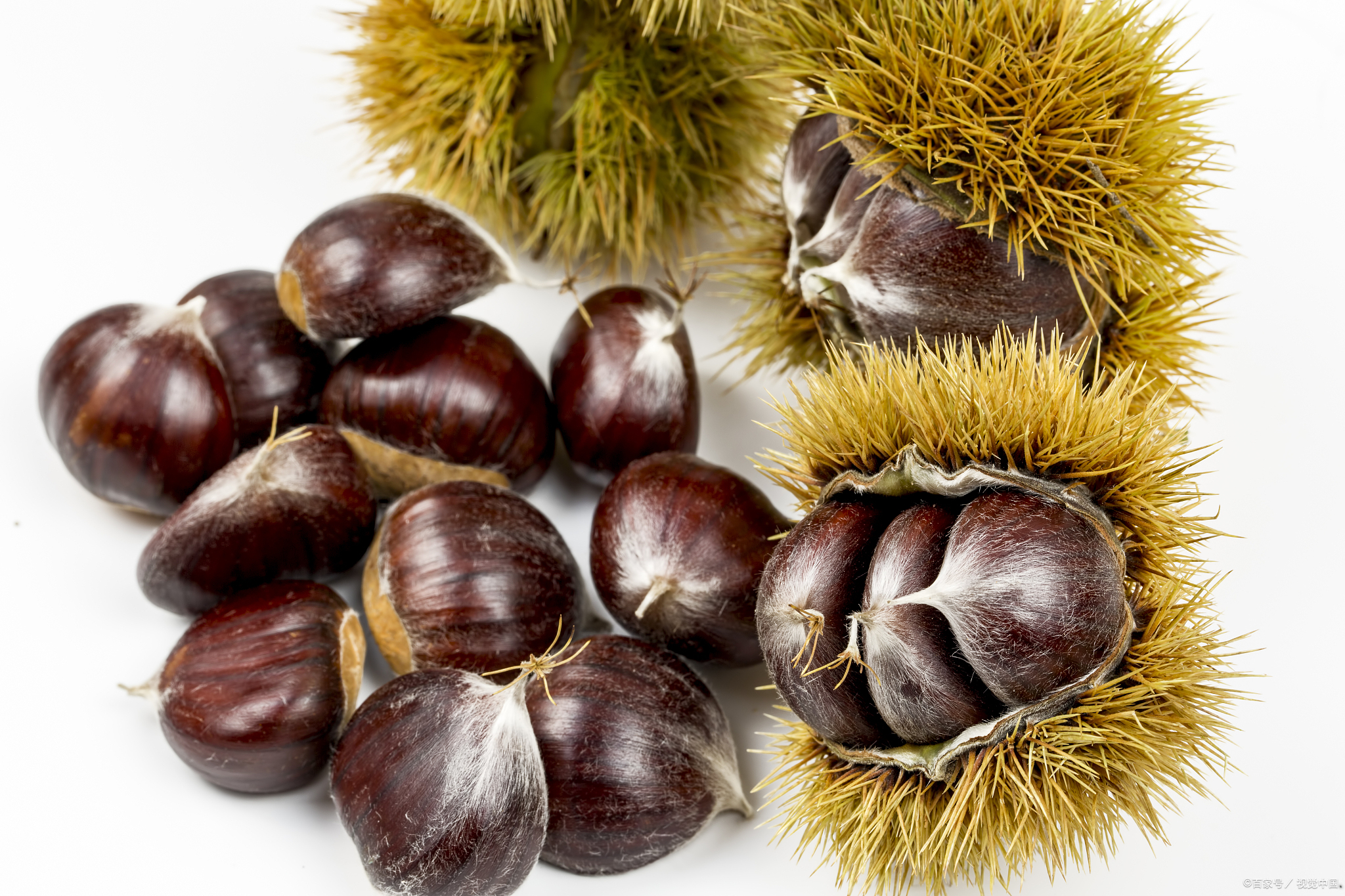 板栗虽好,不宜过量食用,原因如下:  1 板栗被誉为"千果之王",其营养