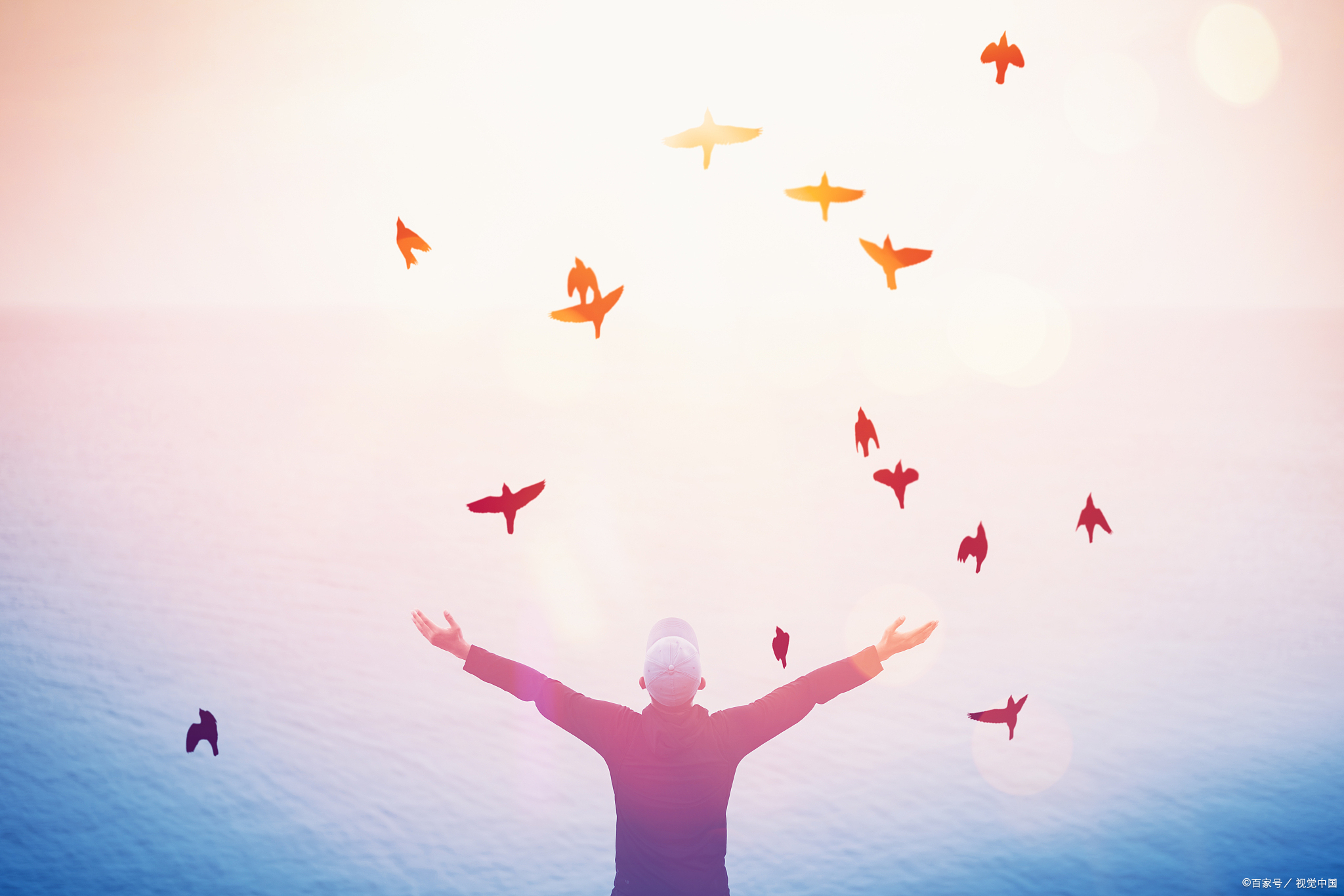 期中必过!跟我一起复习:八下语文阅读理解《为梦想拼尽全力》!