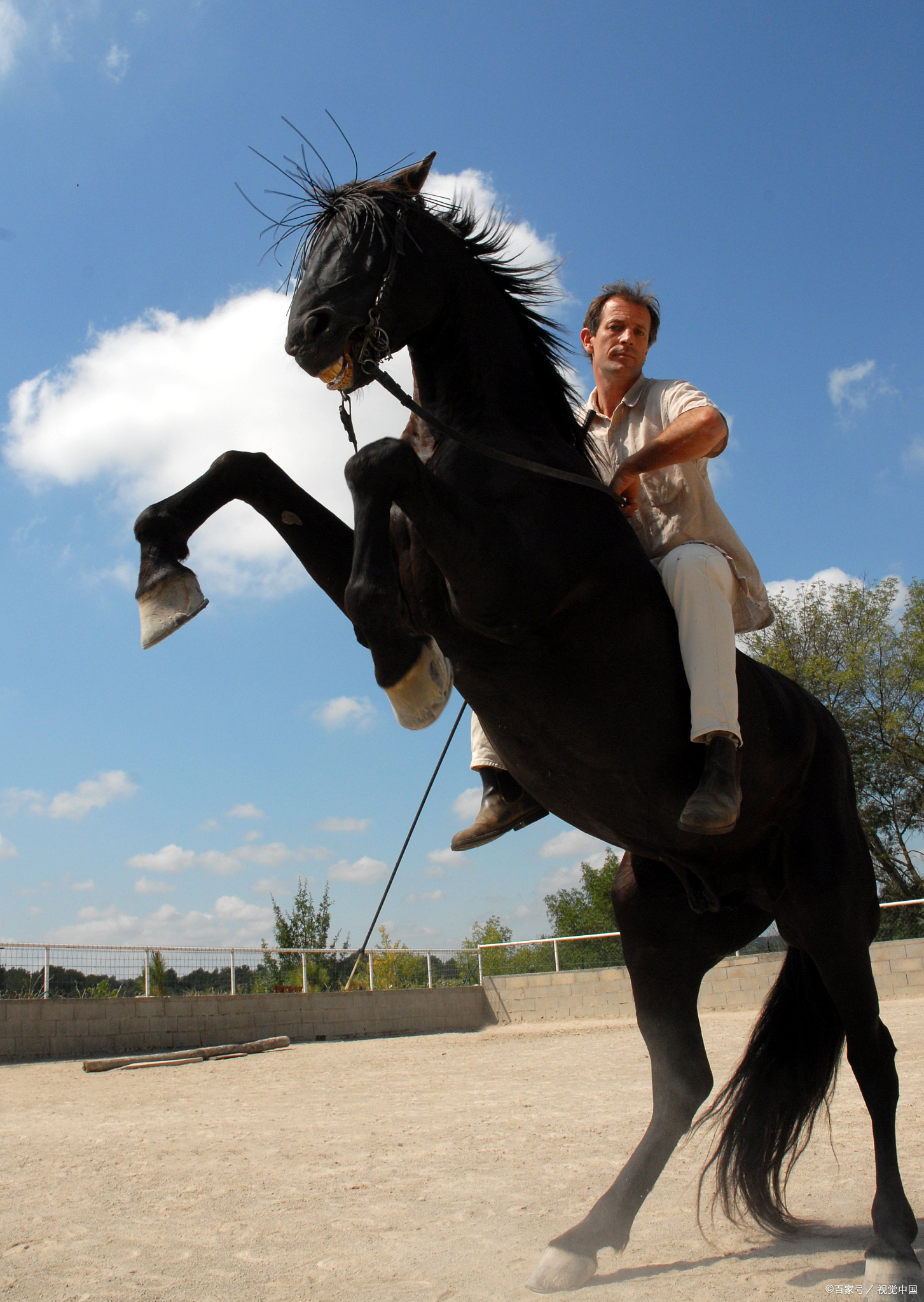 曹操曾经赋诗这样说:"老骥伏枥,志在千里.烈士暮年,壮心不已