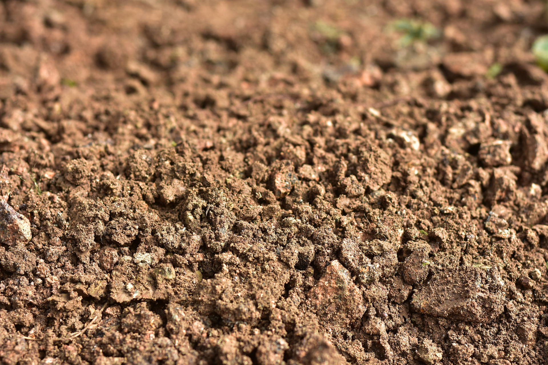 土壤碱性过高可以影响植物的生长和发育,因此需要进行土壤改良以