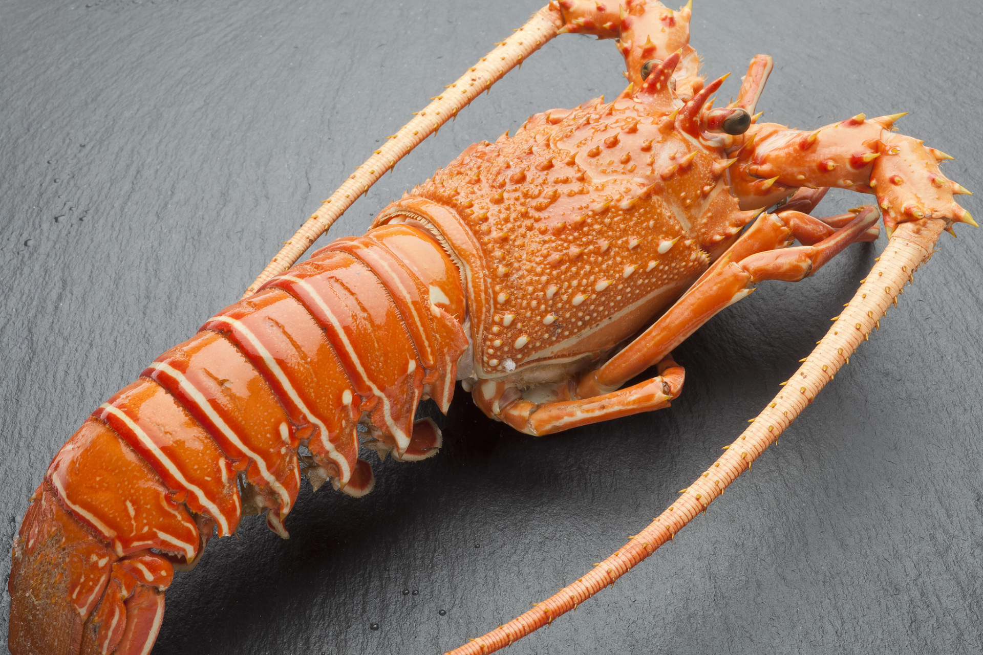 欢迎来到壮乡美食课堂,今天教大家如何在家里烹饪美味的澳洲大龙虾!