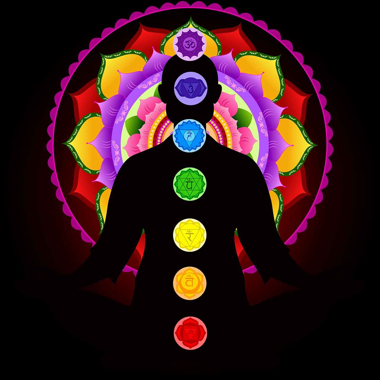 在我们的身体当中有一类能量通道叫作脉轮,而脉轮分为三脉七轮