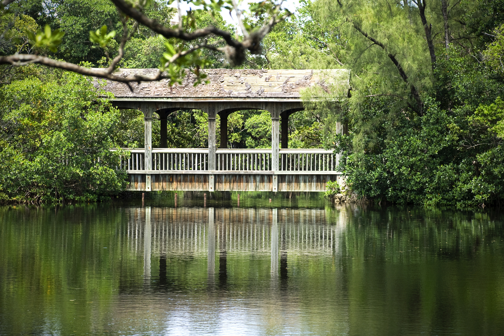 成都浣花溪公园的秋天确实如诗如画,美不胜收.
