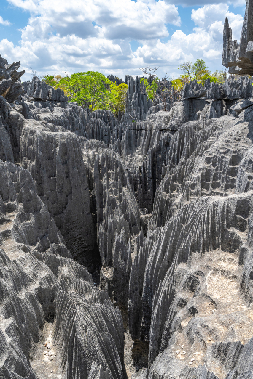 99 你们知道龙鳞石海吗?